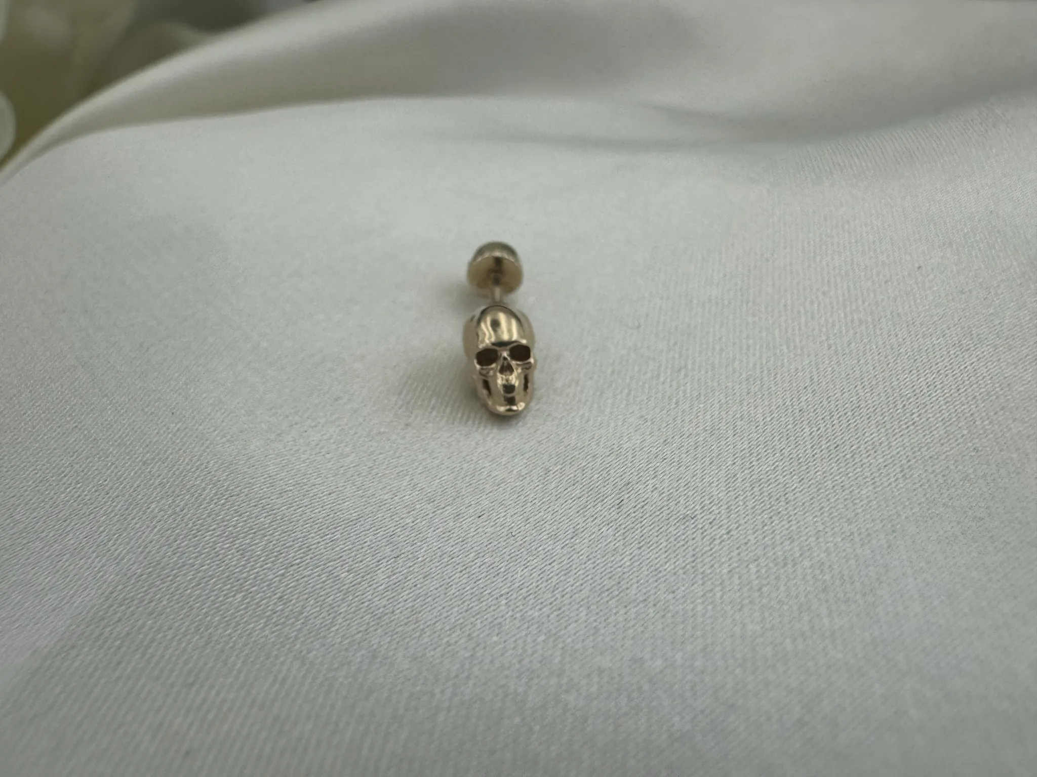 Taşsız Kurukafa Tragus 