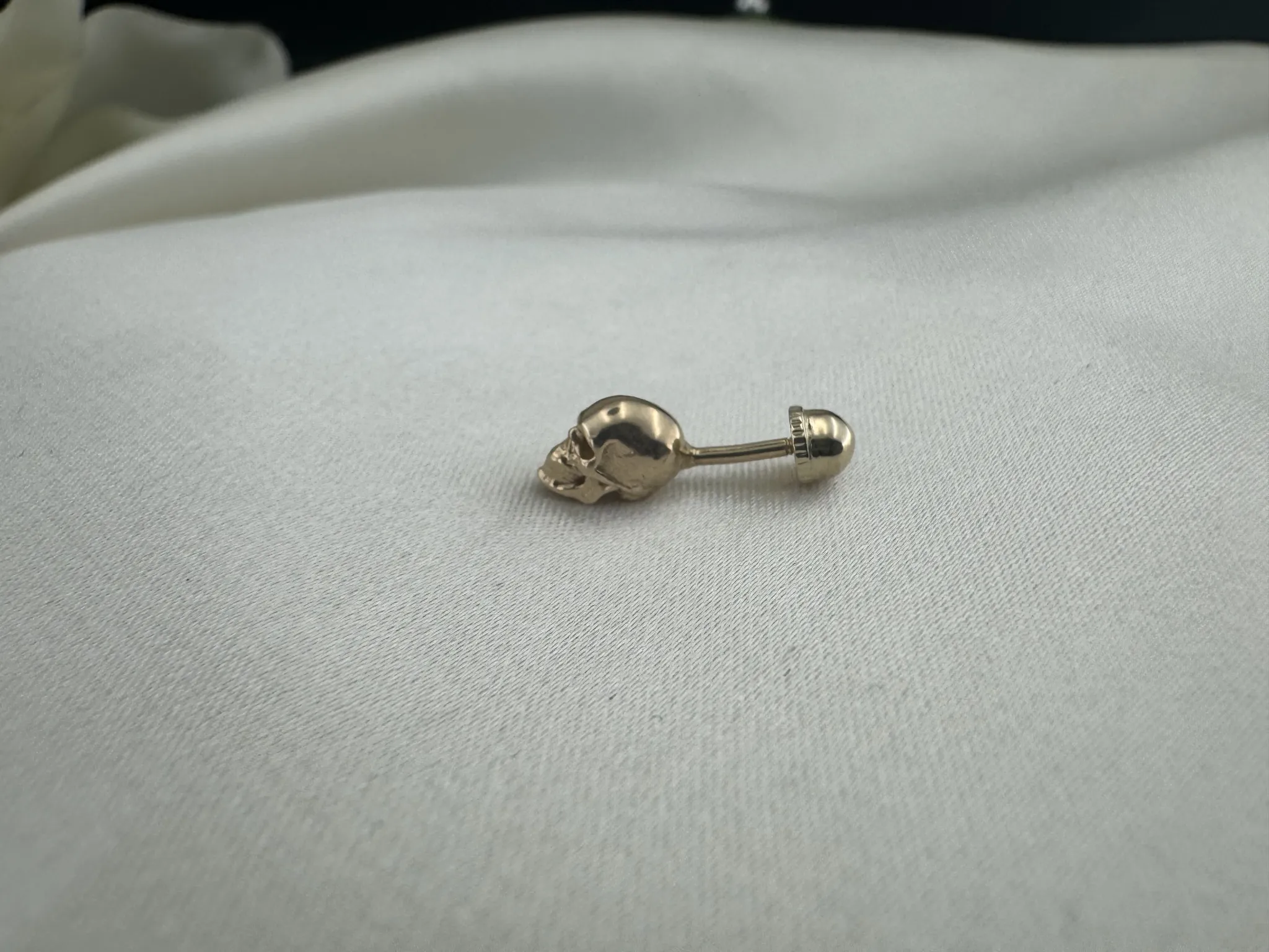 Taşsız Kurukafa Tragus 