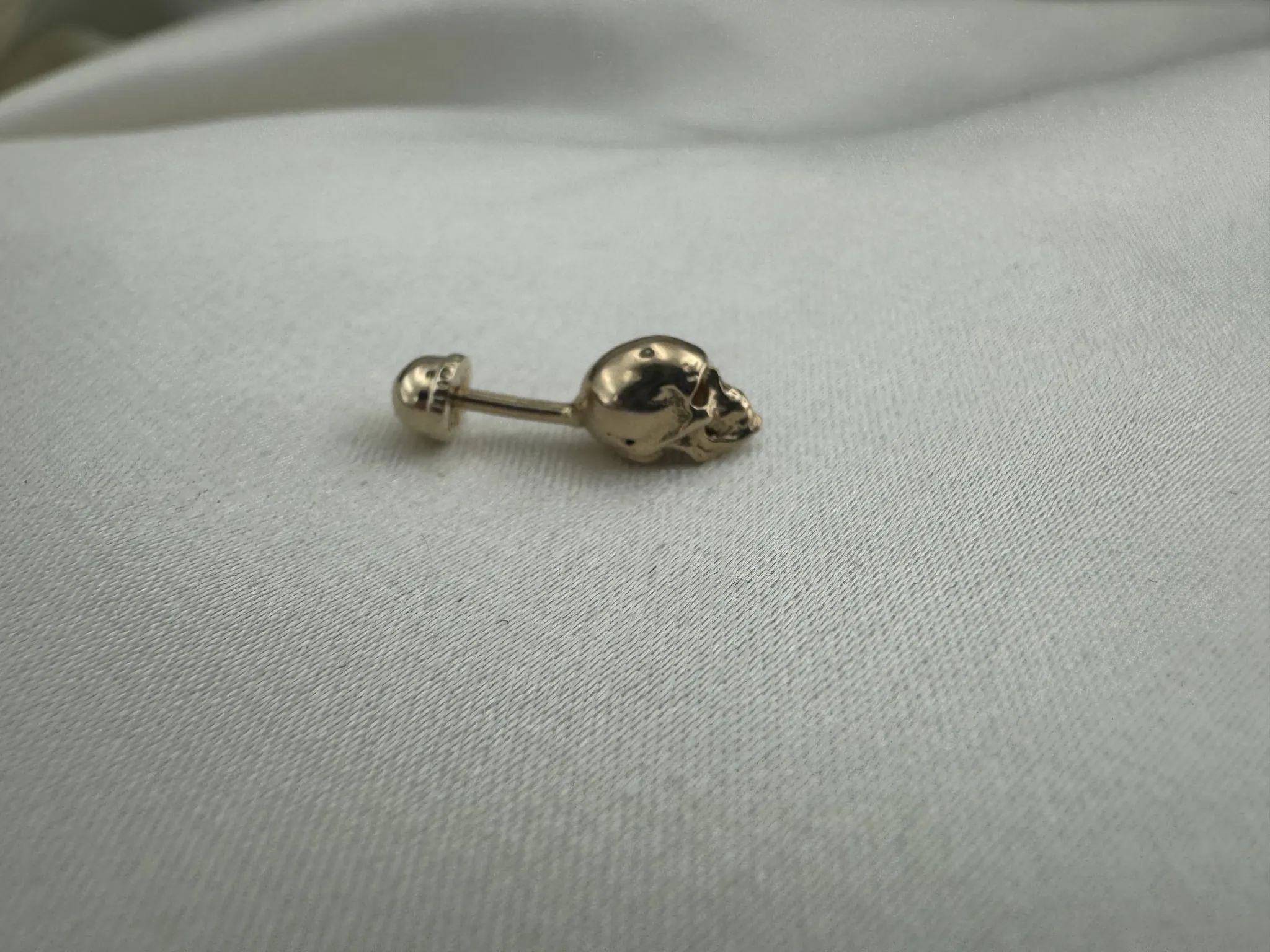 Taşsız Kurukafa Tragus 