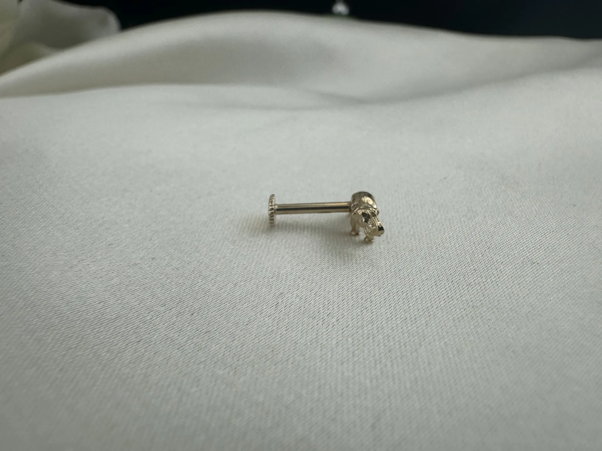 Taşsız Fil Tragus