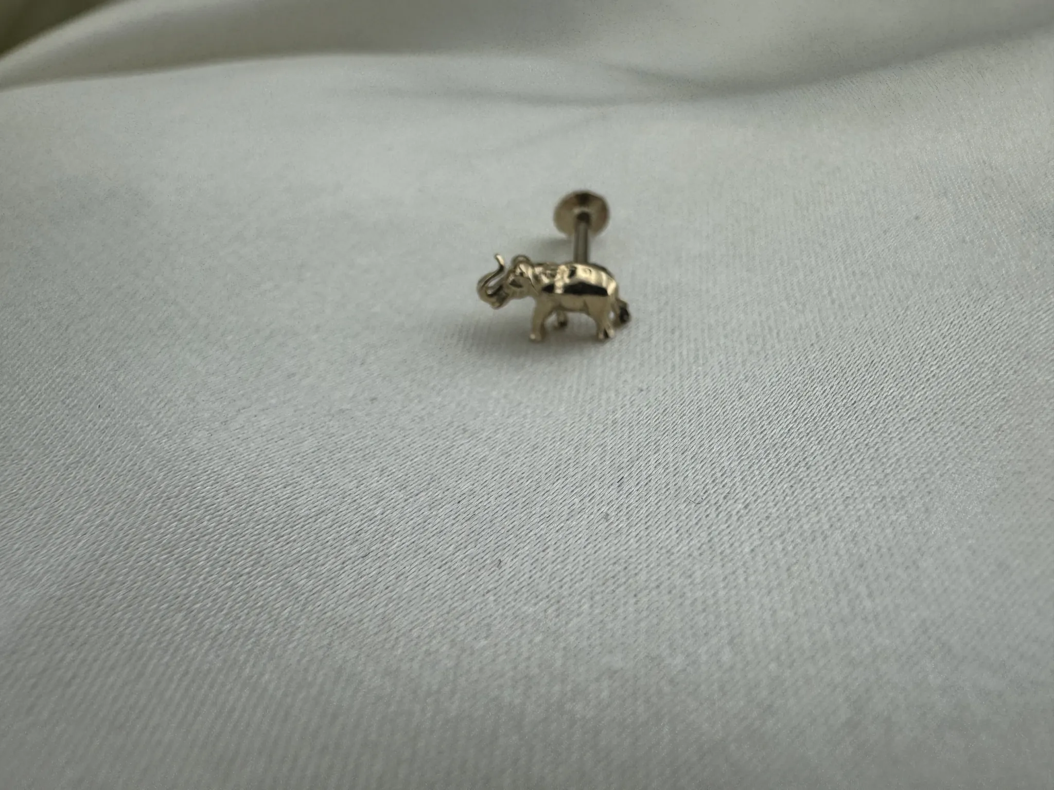 Taşsız Fil Tragus