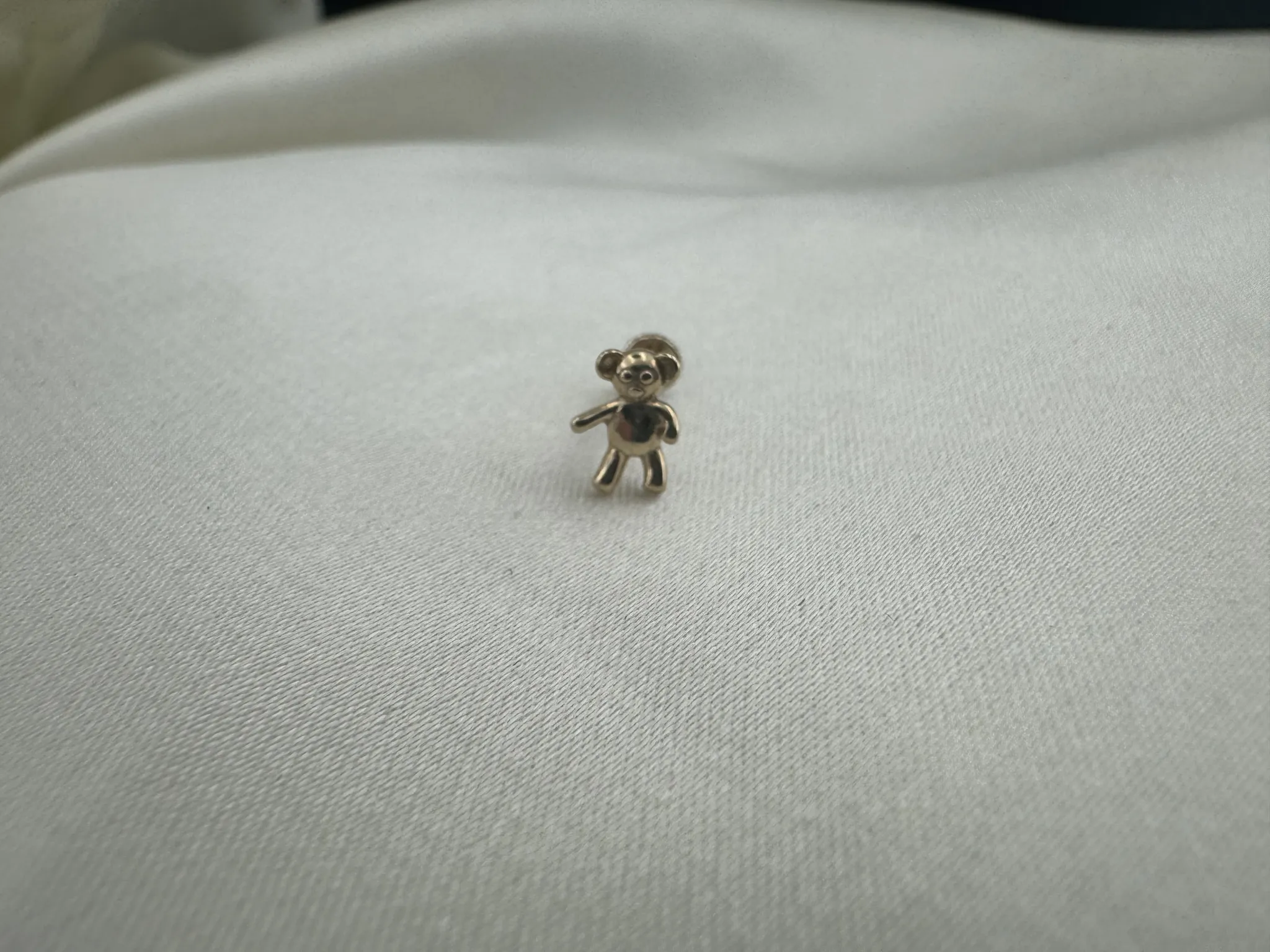 Taşsız Ayıcık Tragus