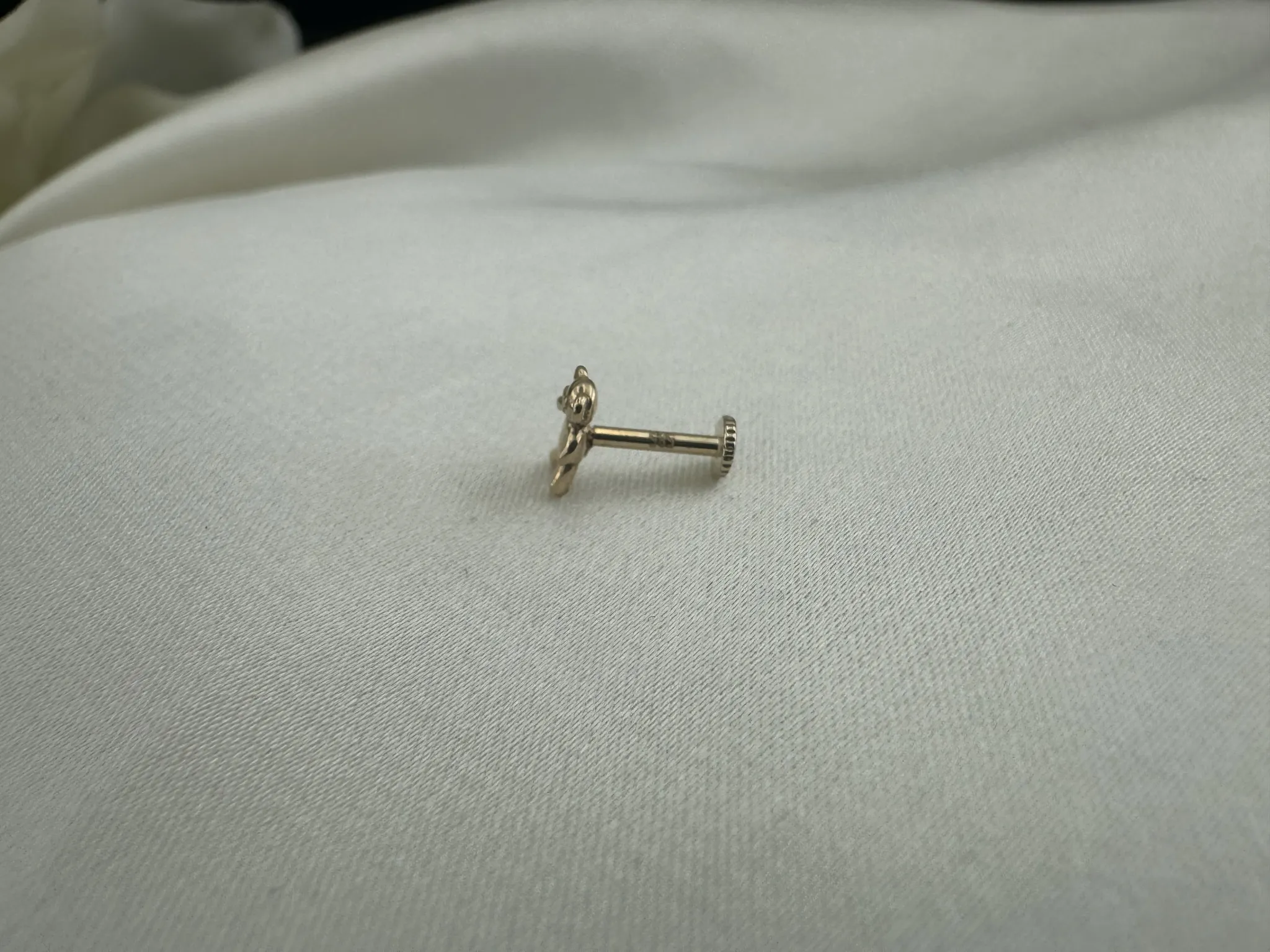 Taşsız Ayıcık Tragus