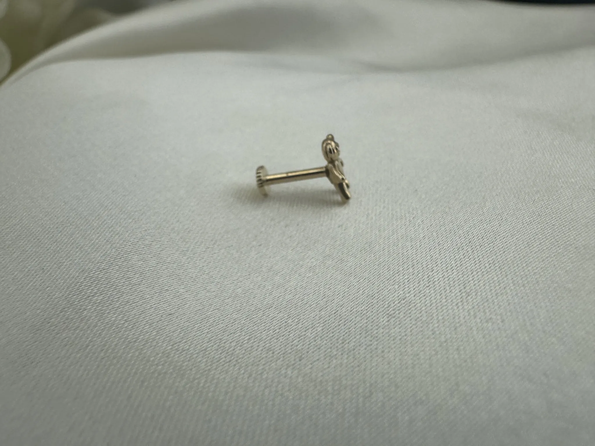 Taşsız Ayıcık Tragus