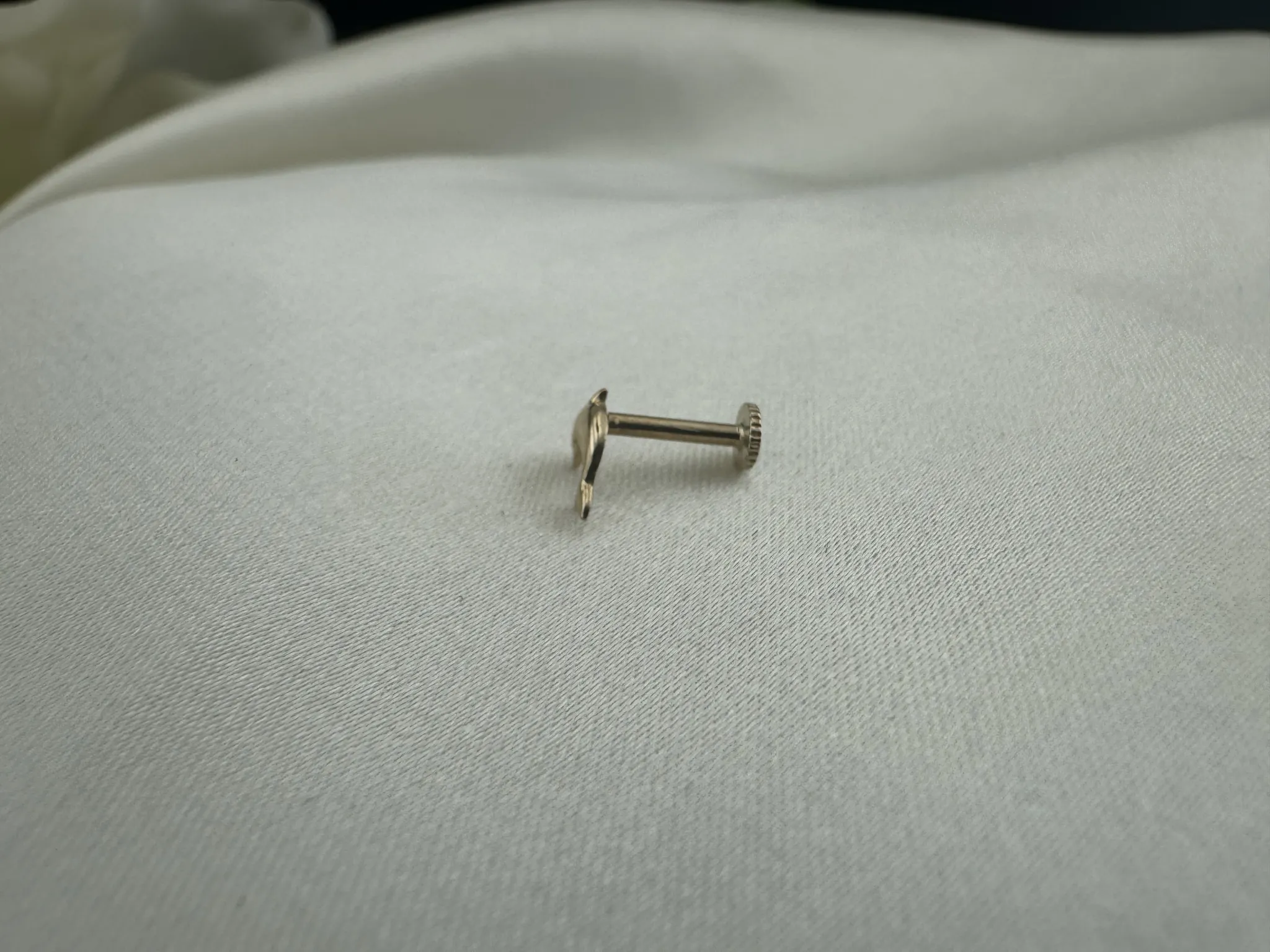 Yunus Balığı Tragus
