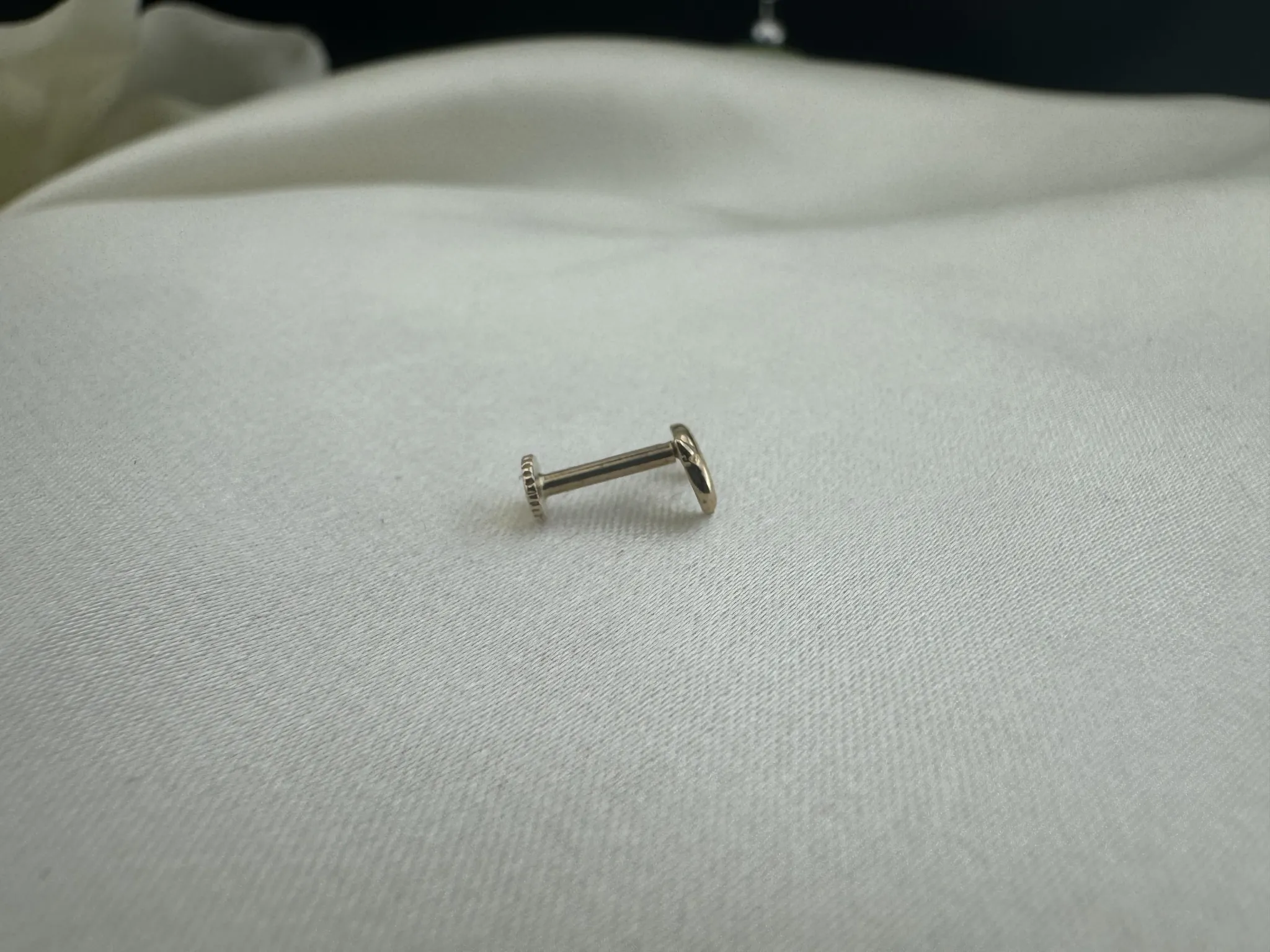 Yunus Balığı Tragus
