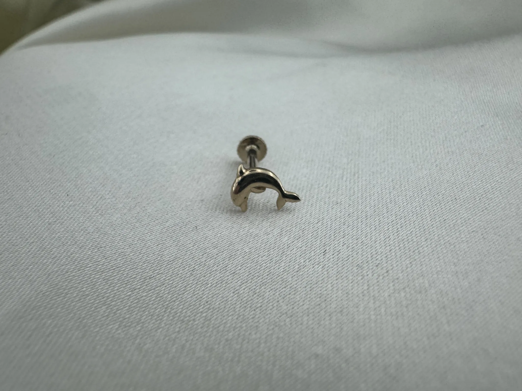 Yunus Balığı Tragus
