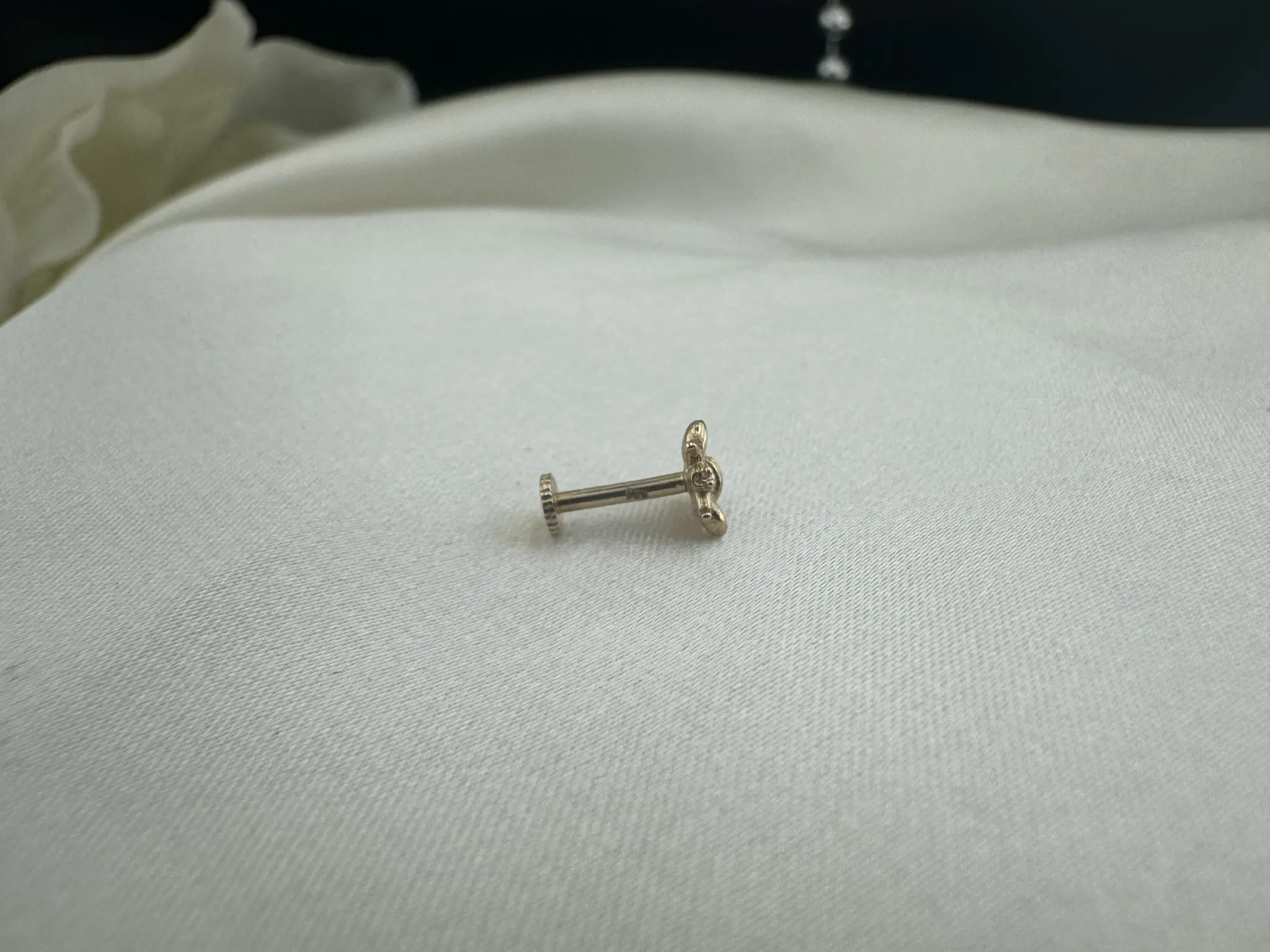 Taşsız Arı Tragus