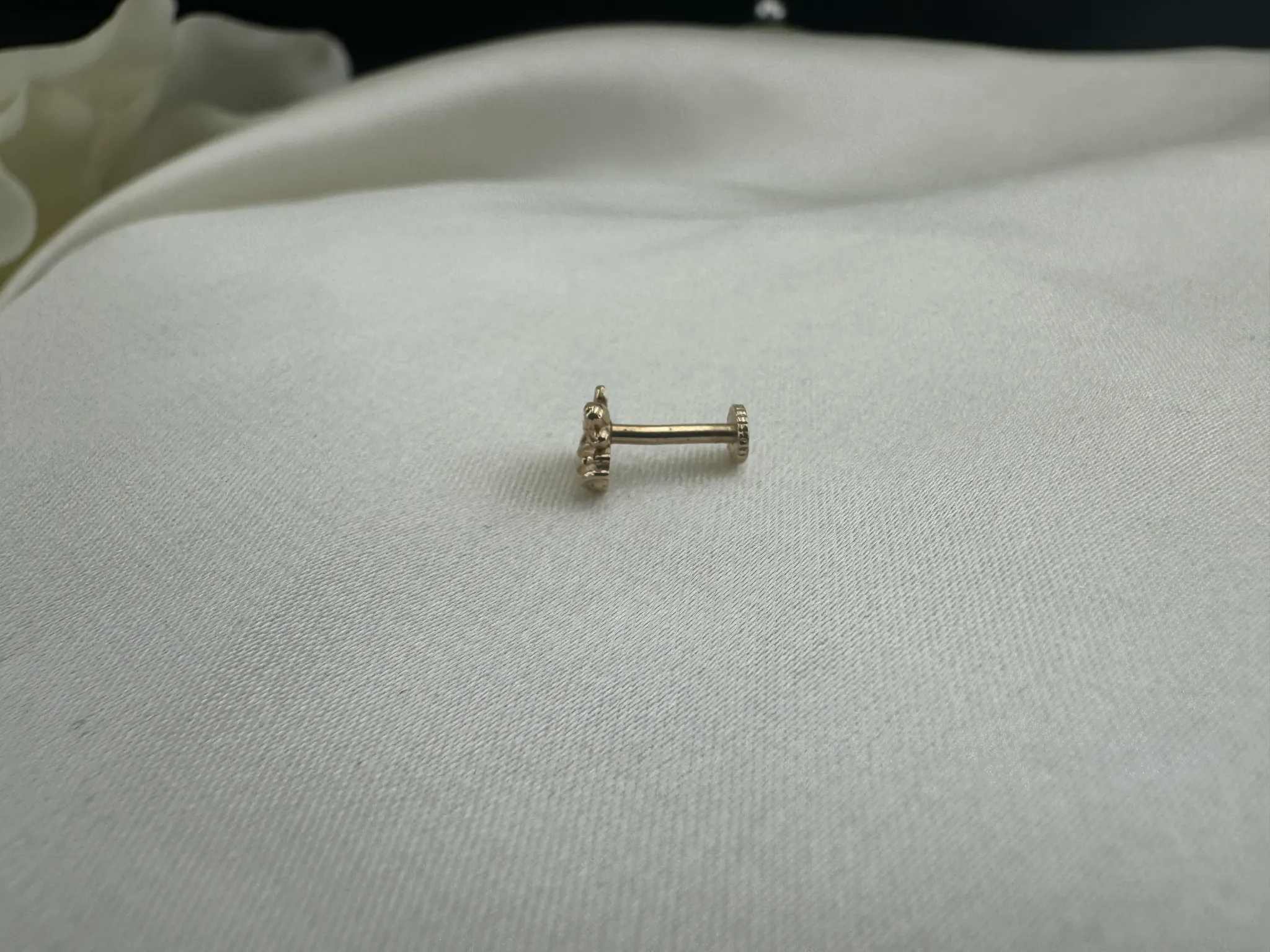 Taşsız Arı Tragus