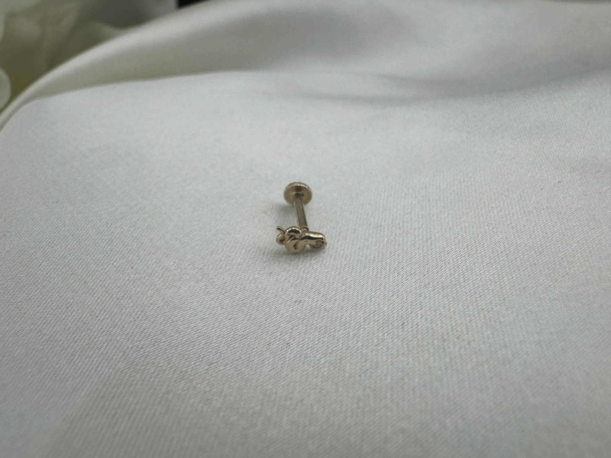 Taşlı Yılan Tragus