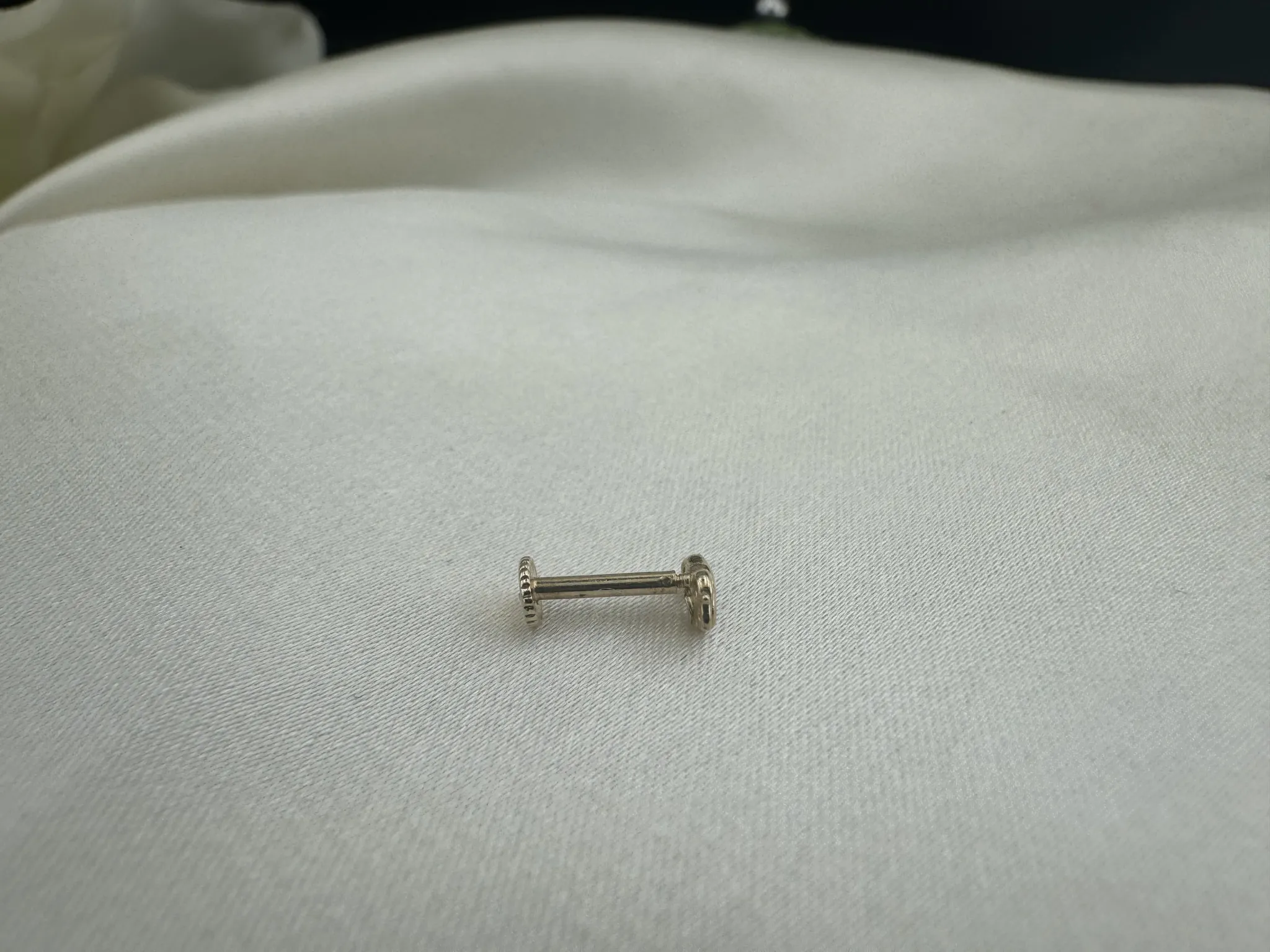 Taşlı Yılan Tragus
