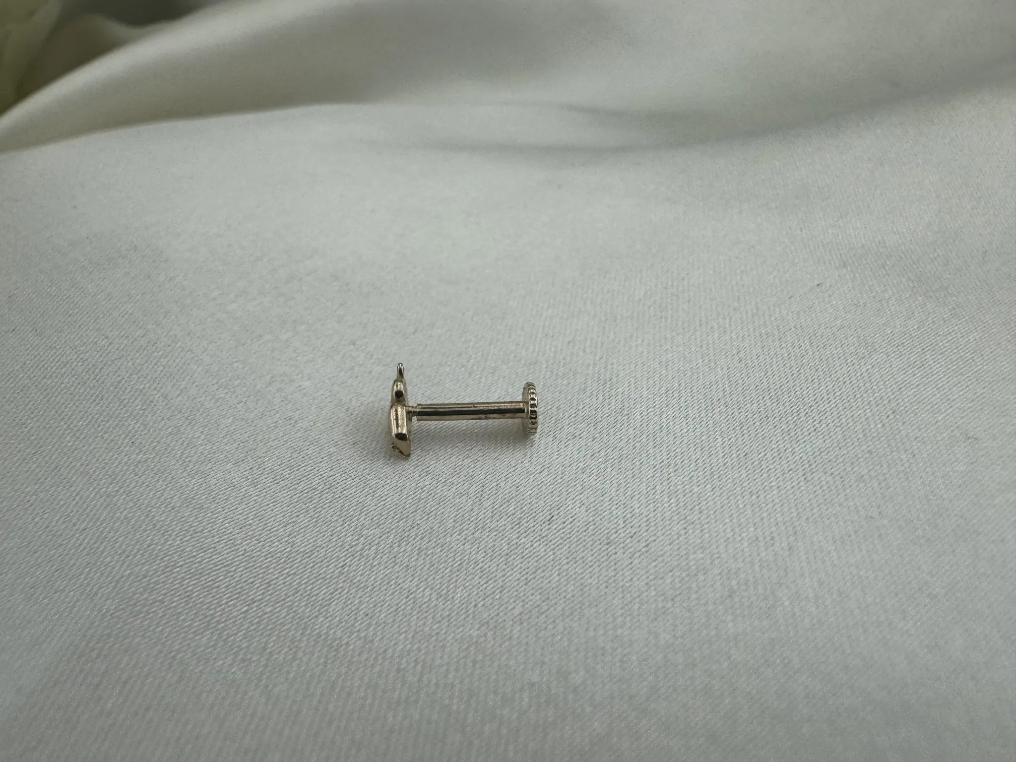 Taşlı Yılan Tragus