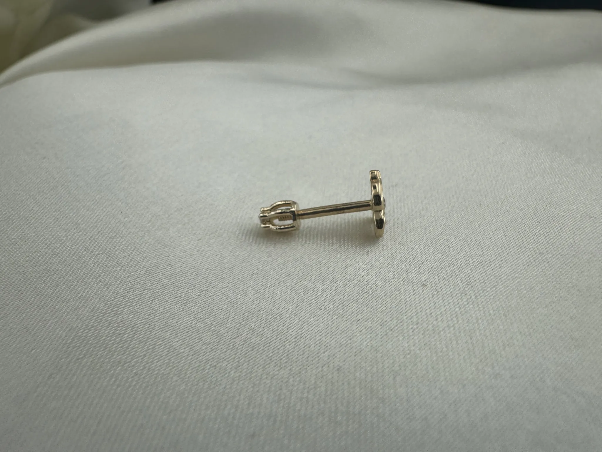 Taşlı Yunus Balığı Tragus