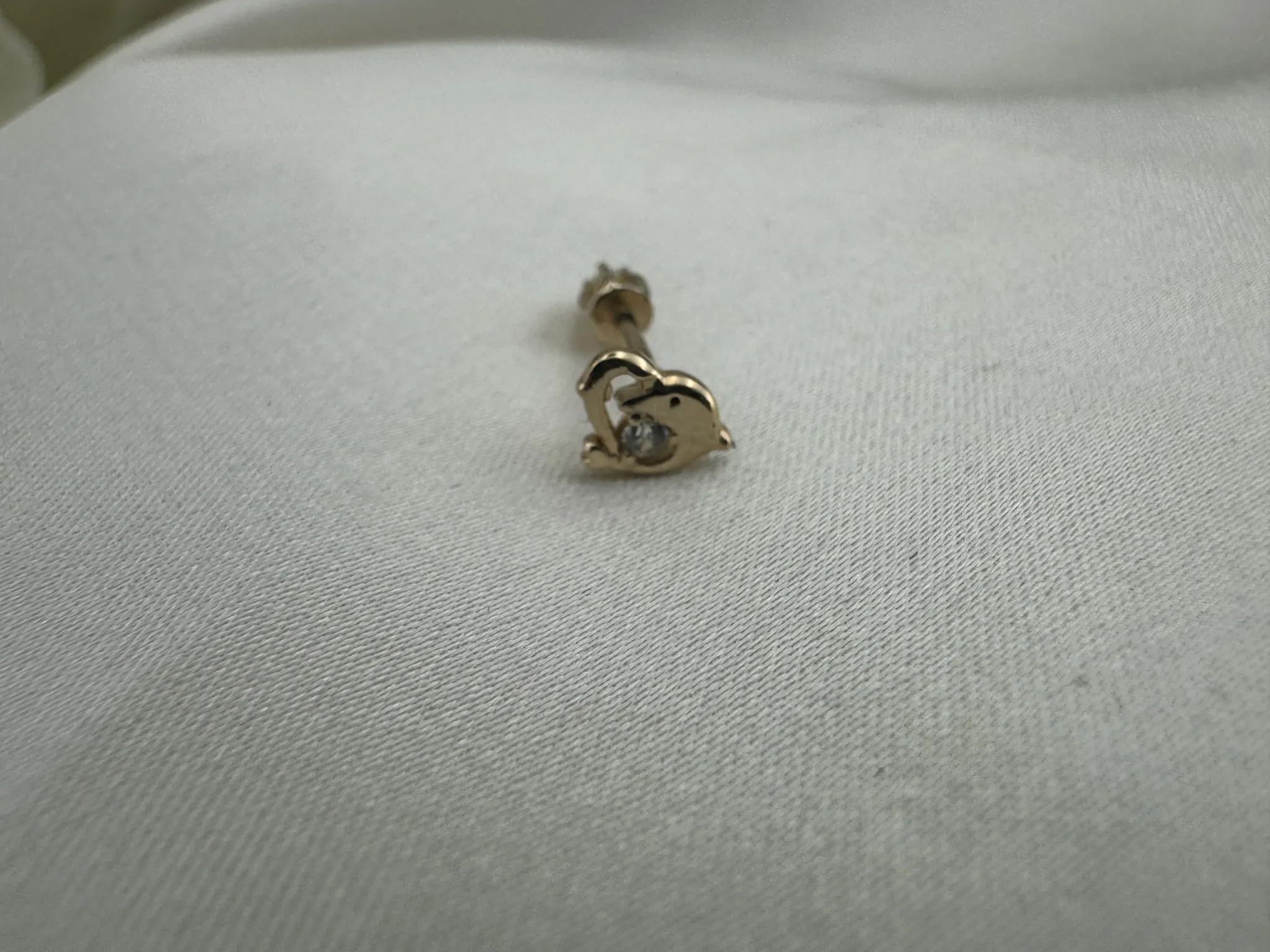 Taşlı Yunus Balığı Tragus
