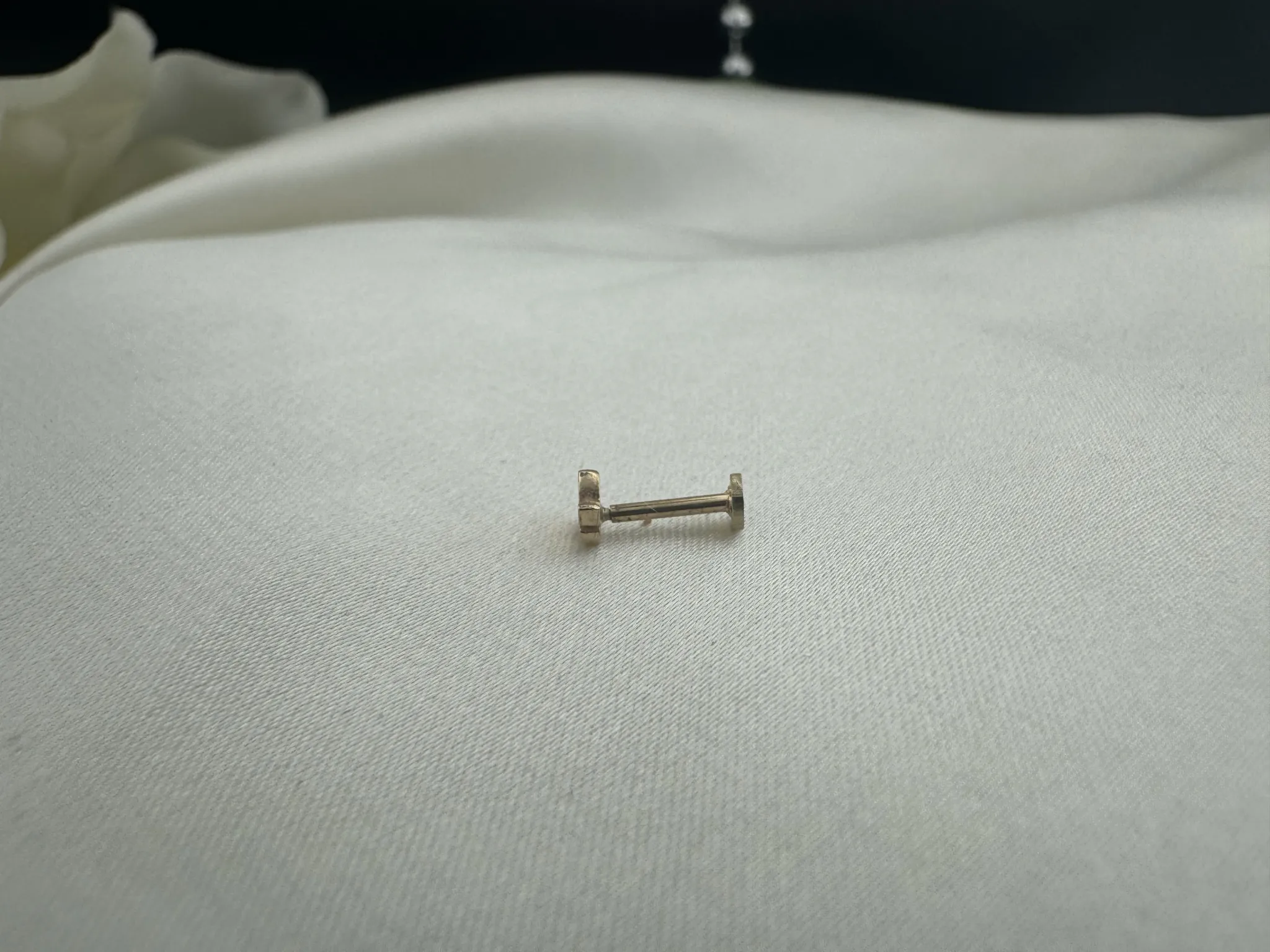 Taşlı Kelebek Tragus
