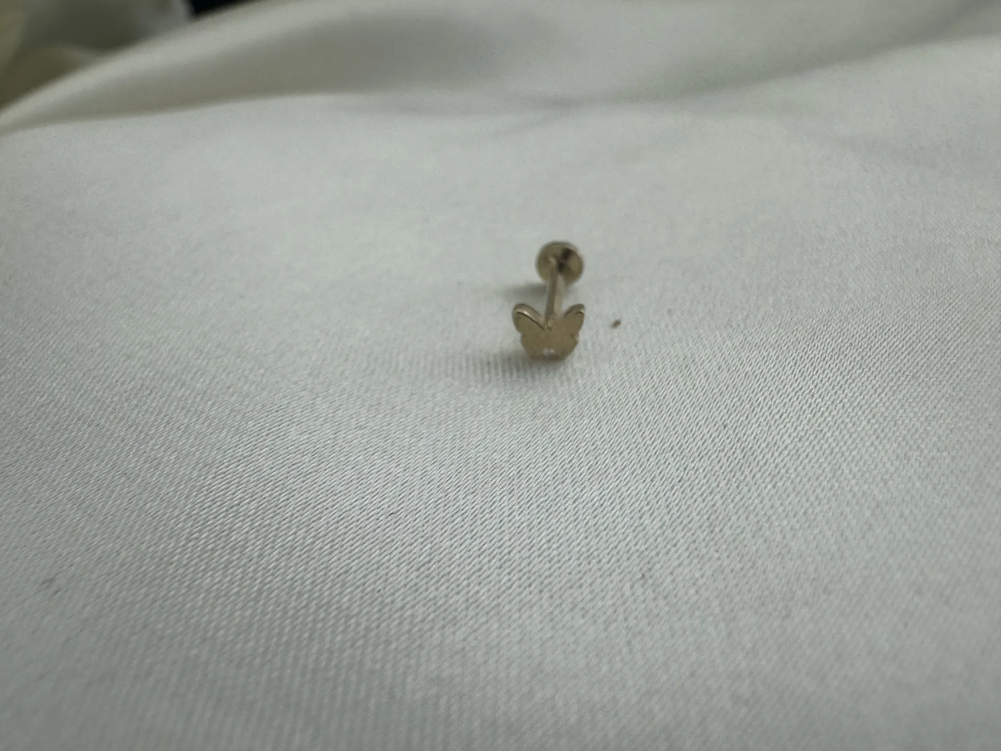 Taşlı Kelebek Tragus