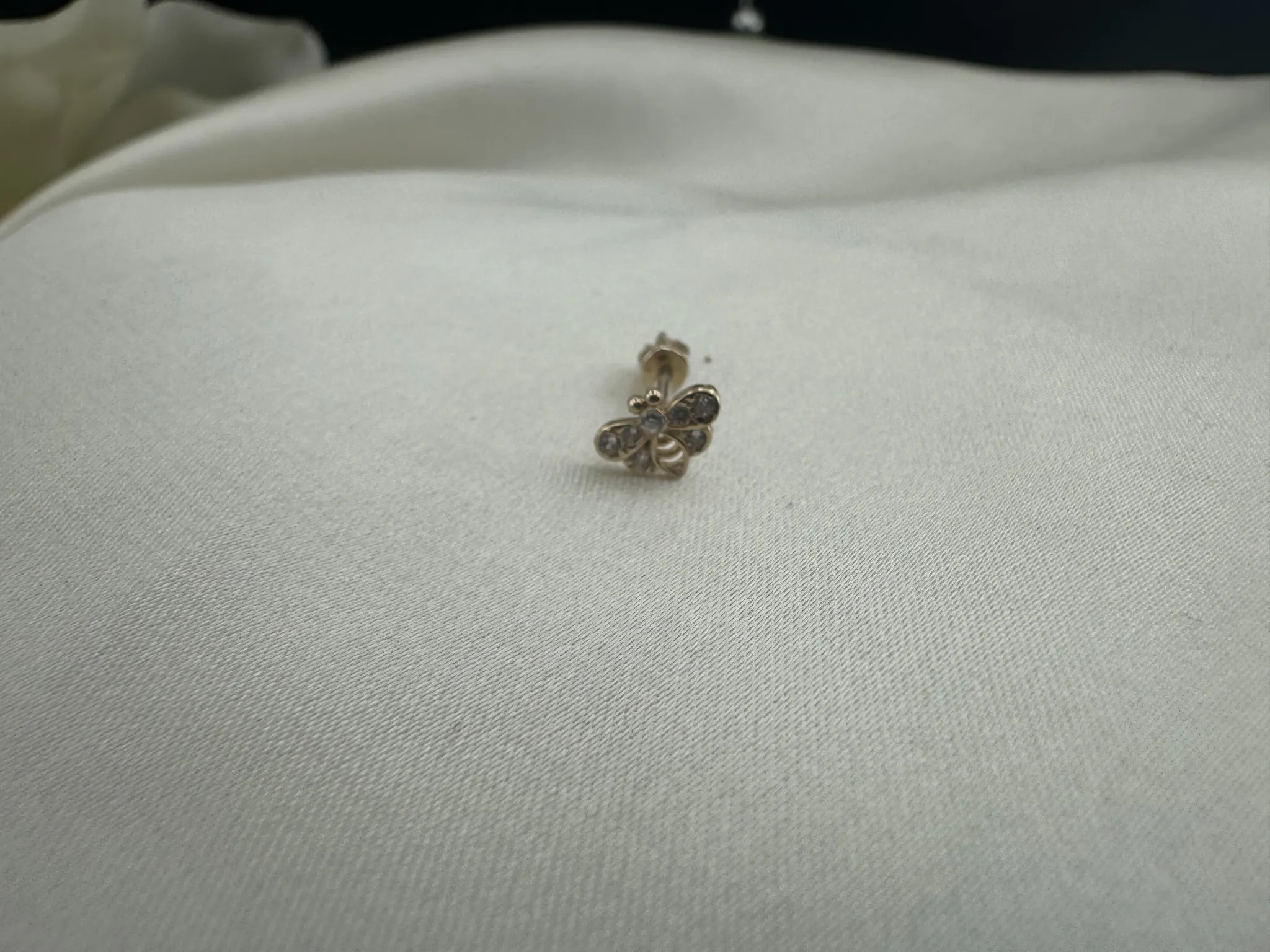 Taşlı Arı Tragus