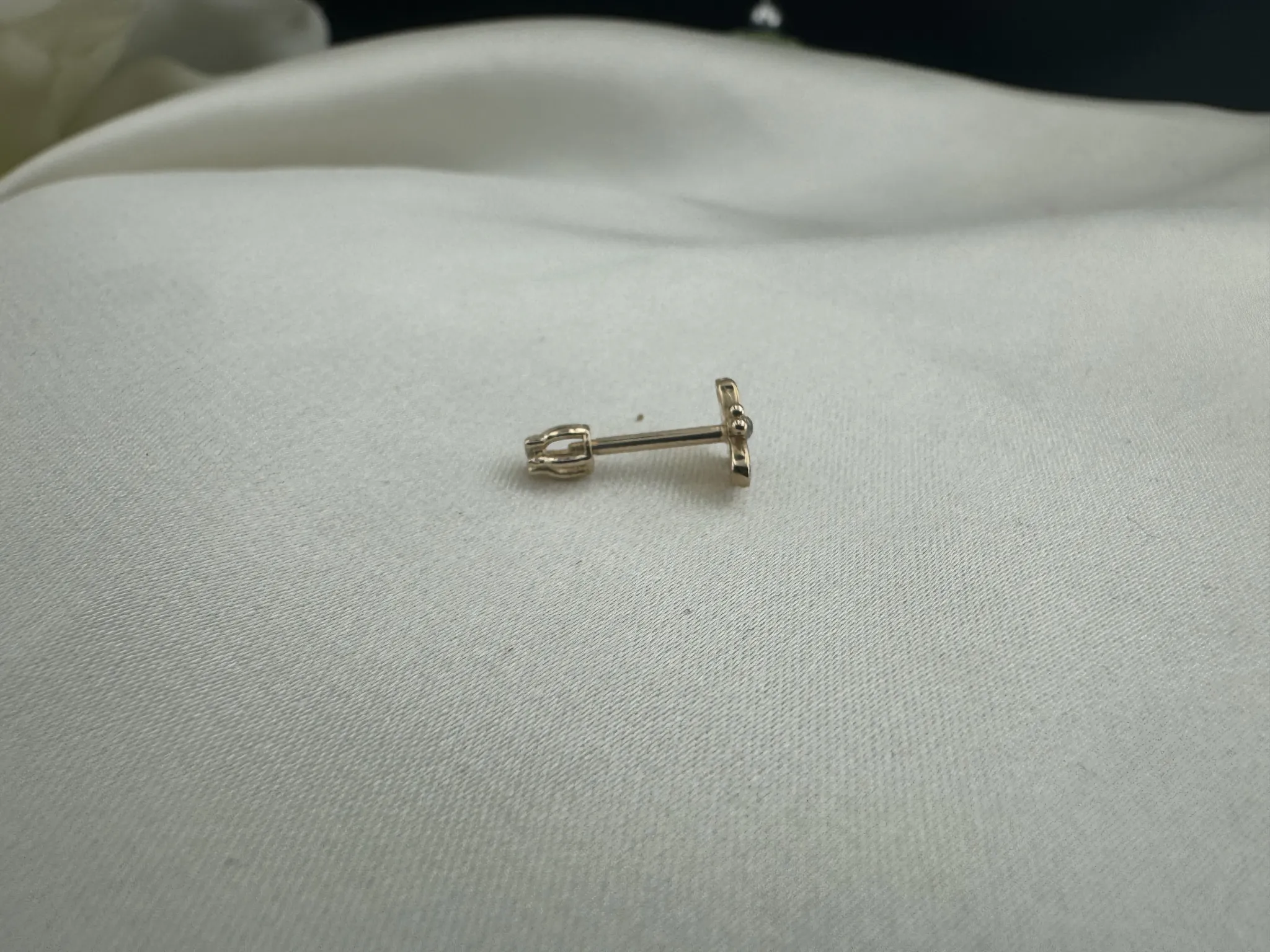 Taşlı Arı Tragus