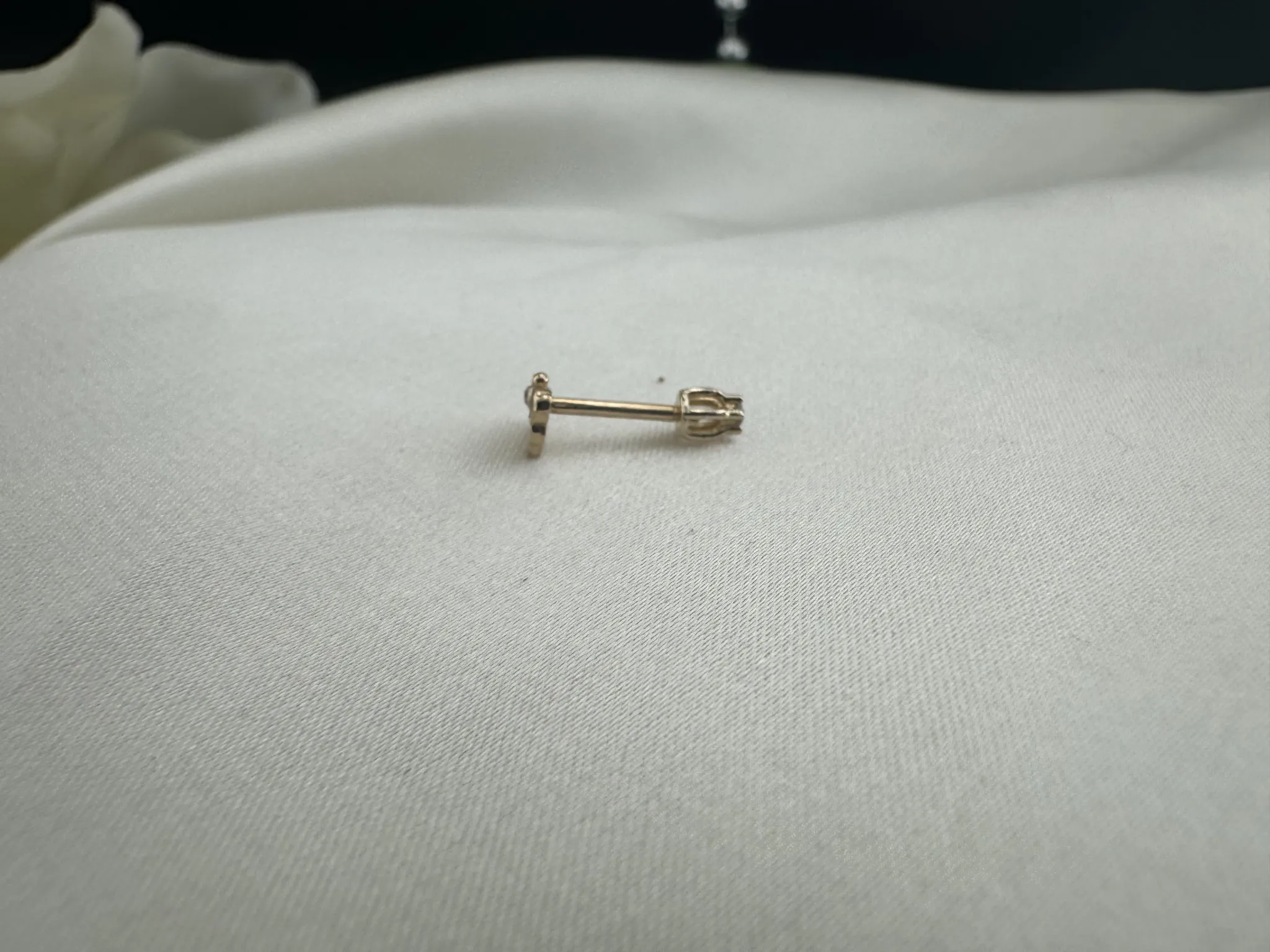 Taşlı Arı Tragus