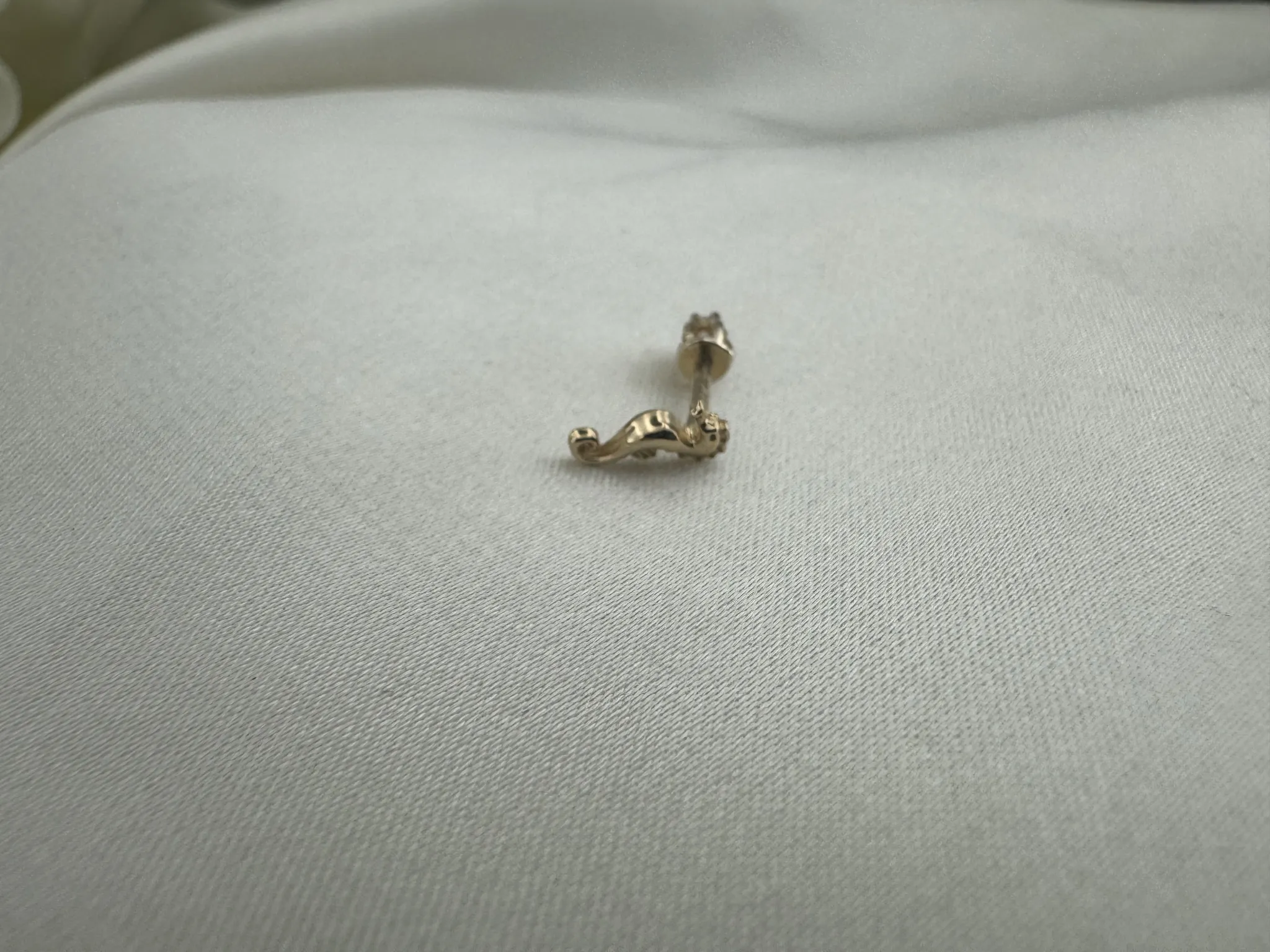 Denizatı Tragus