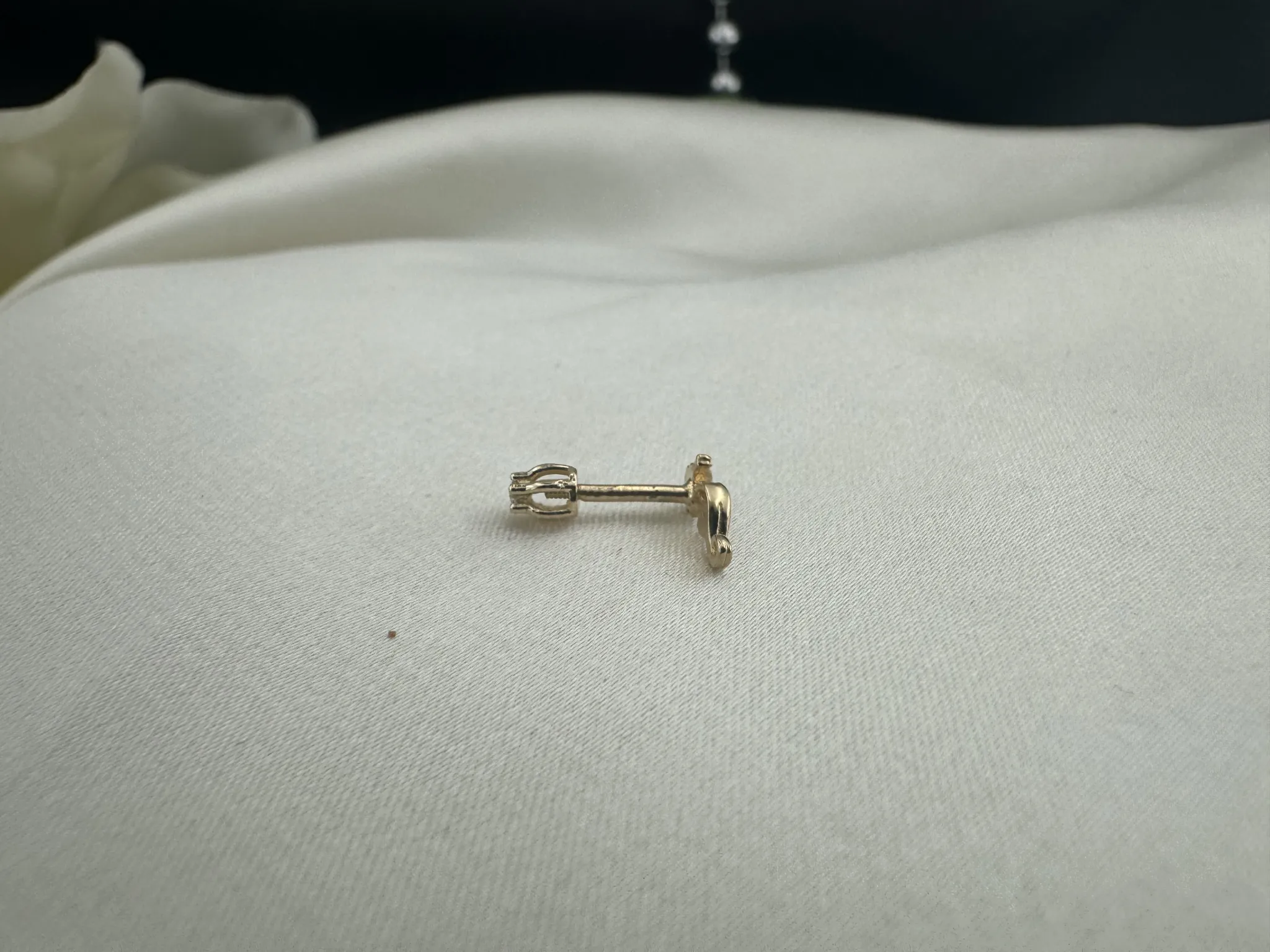 Denizatı Tragus