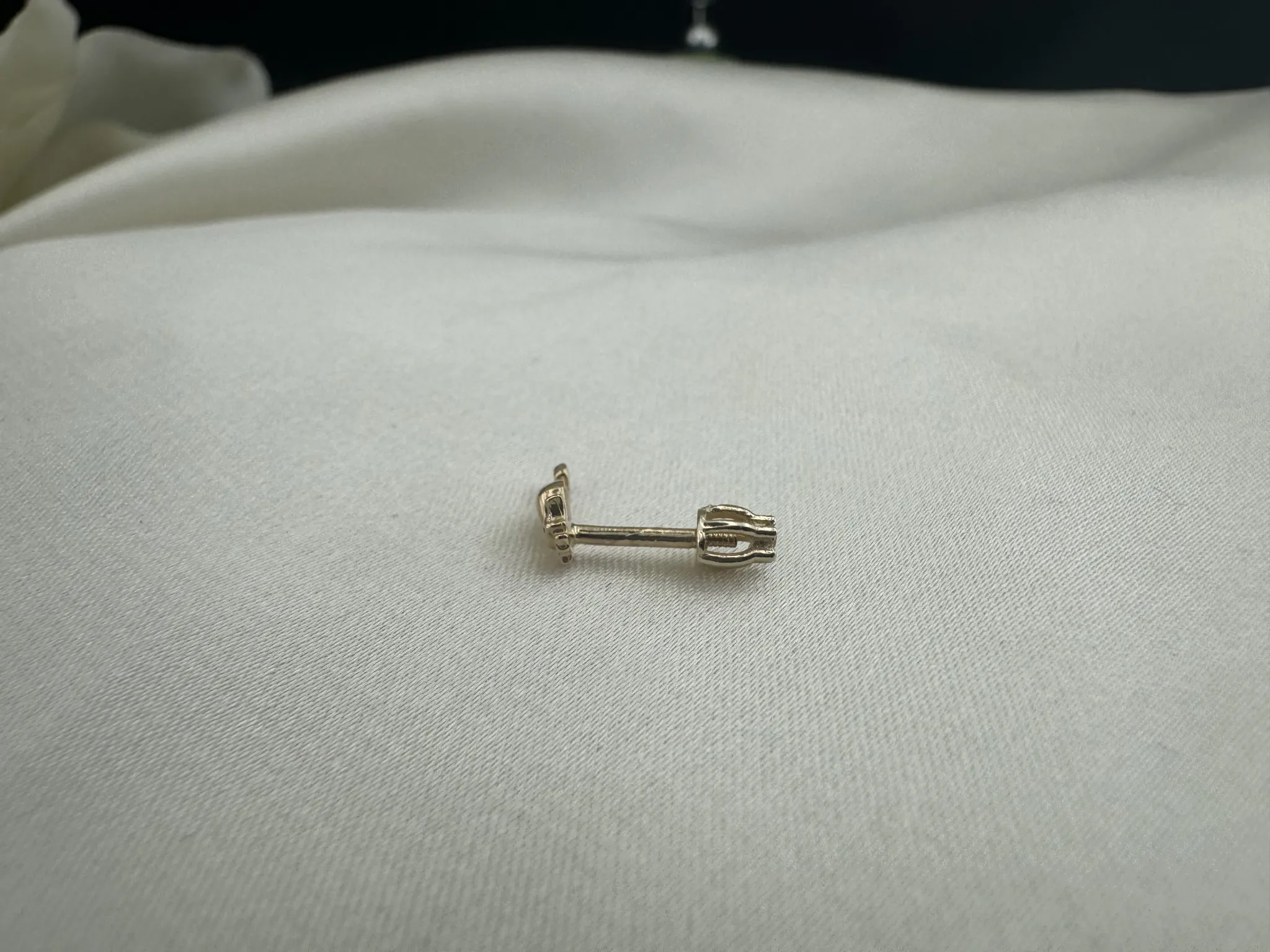Denizatı Tragus