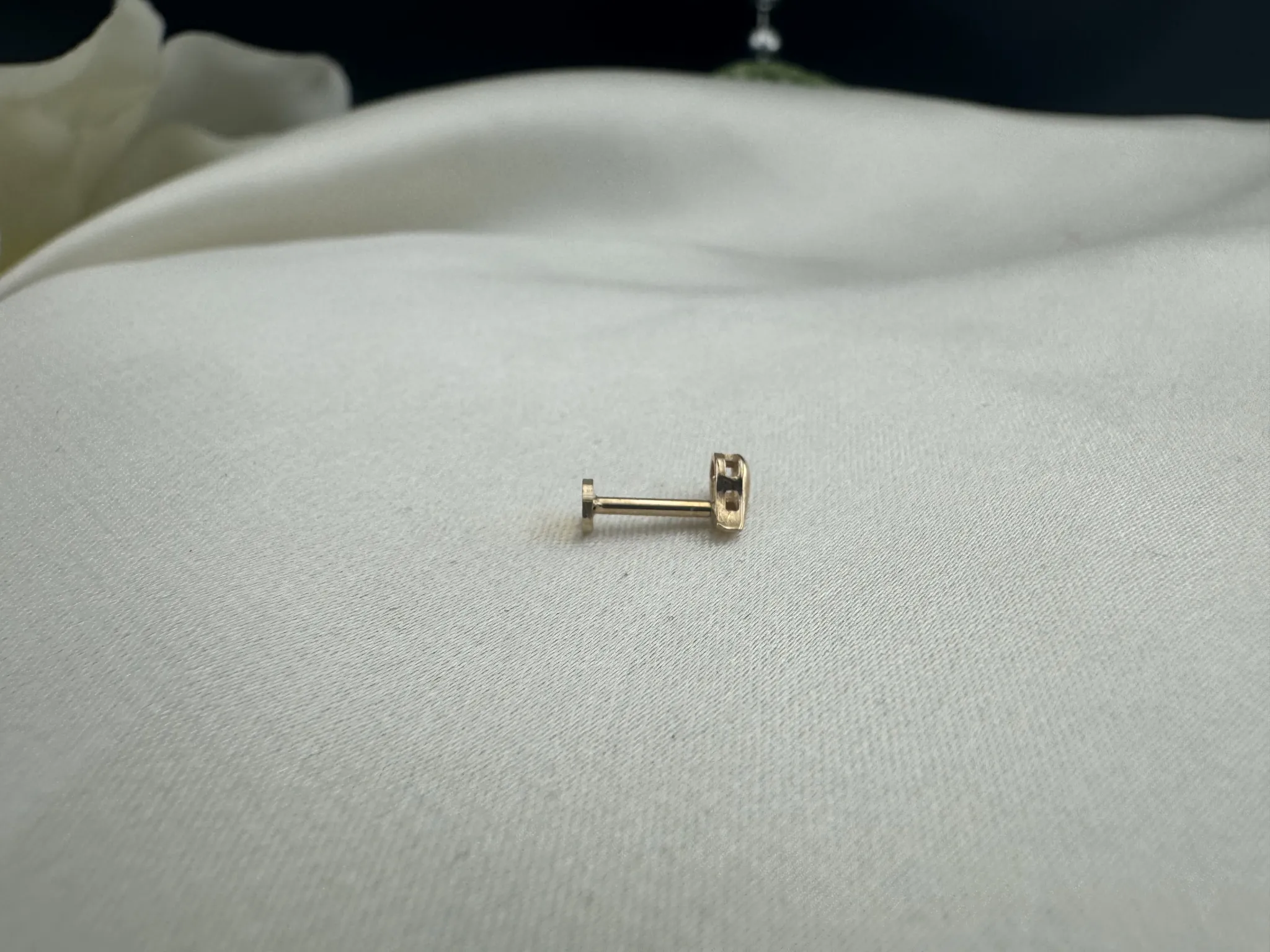 Taşsız Damla Tragus