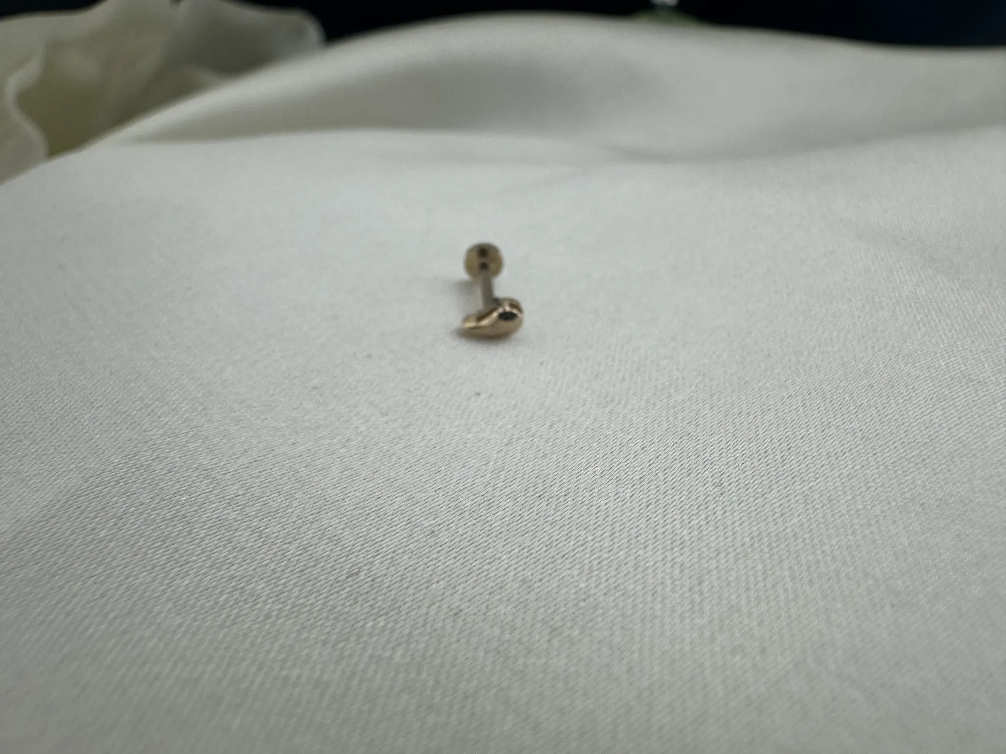 Taşsız Damla Tragus