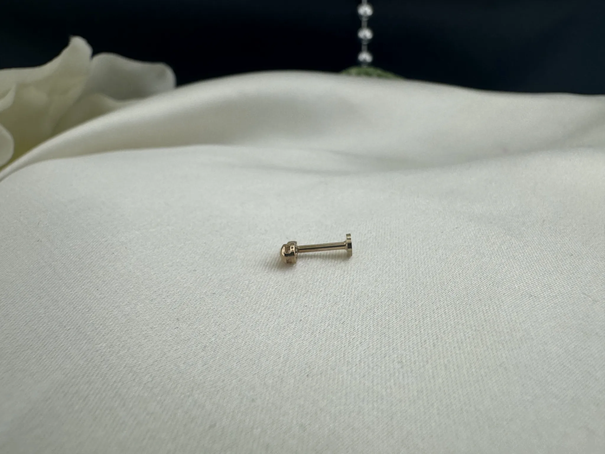 Taşsız Damla Tragus