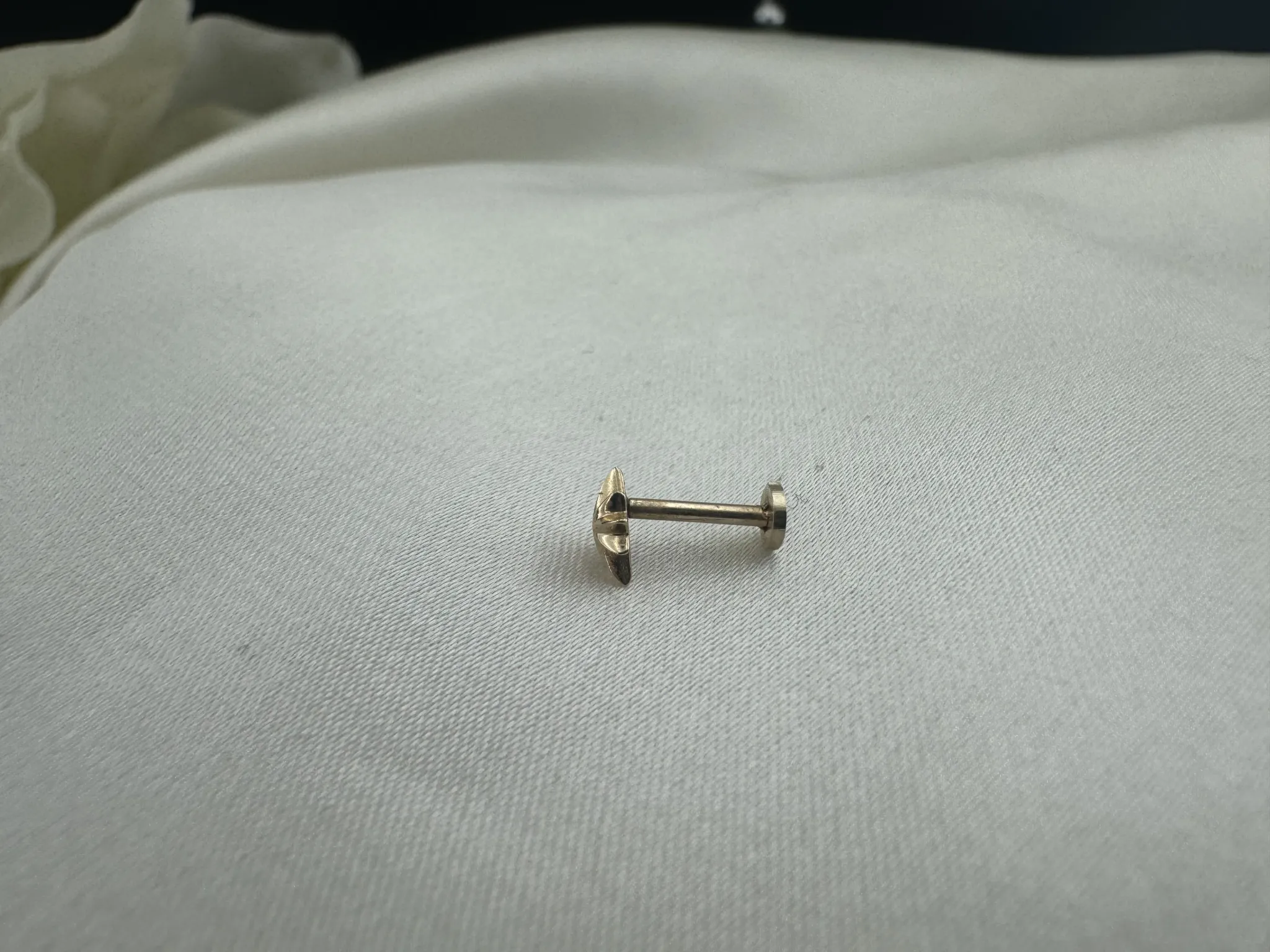 Taşsız Kuzey Yıldızı Tragus