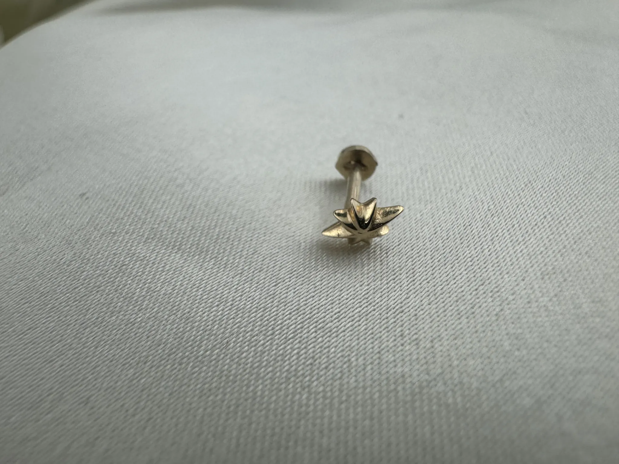 Taşsız Kuzey Yıldızı Tragus