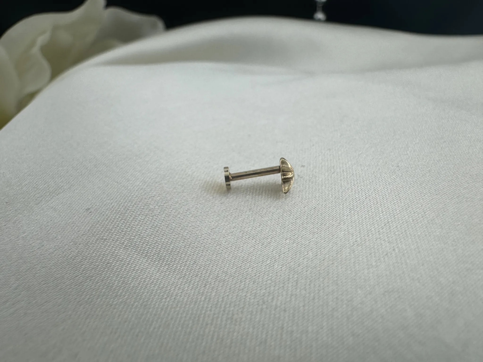 Taşsız Kuzey Yıldızı Tragus