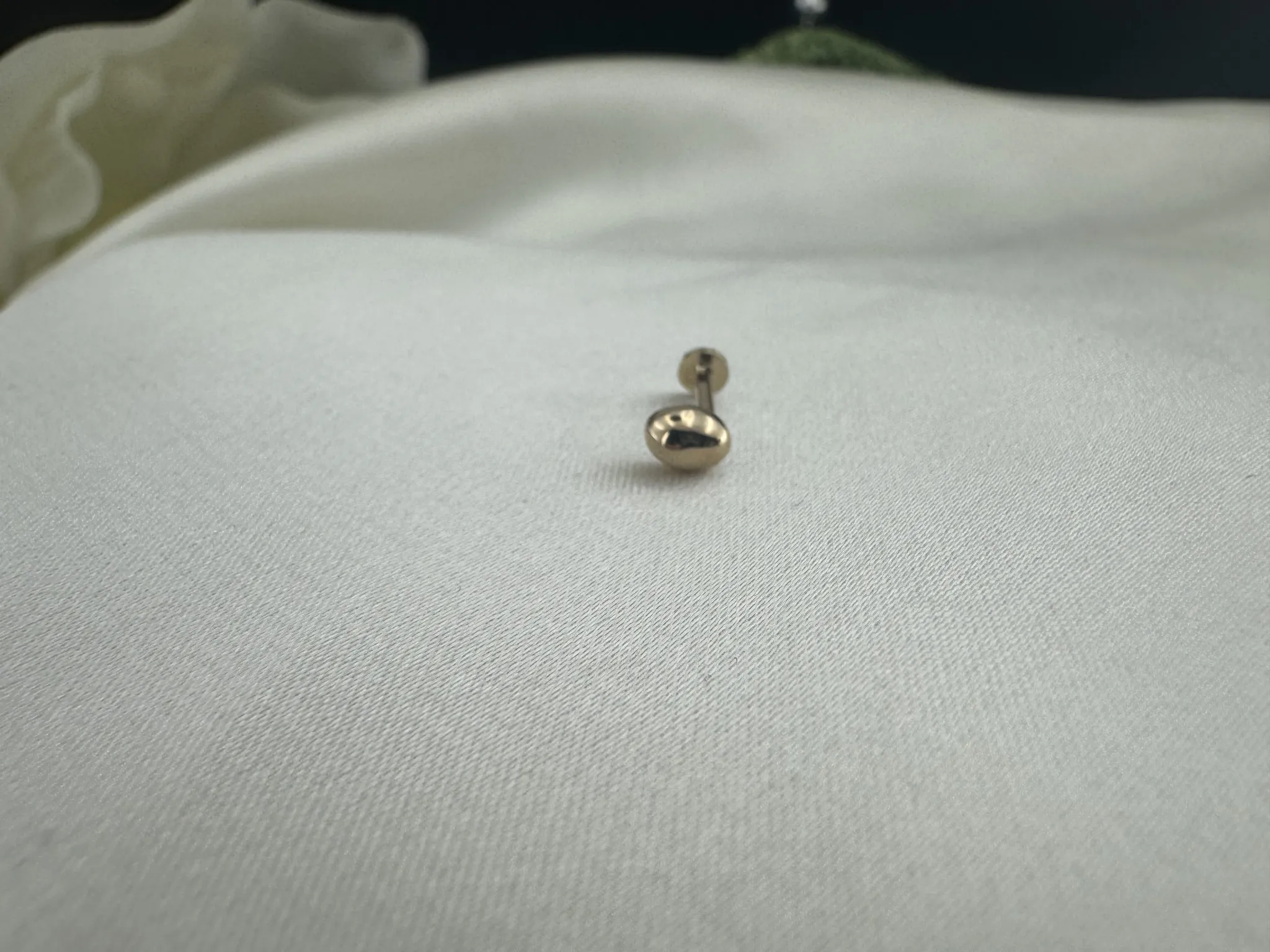 Taşsız Sade Tragus