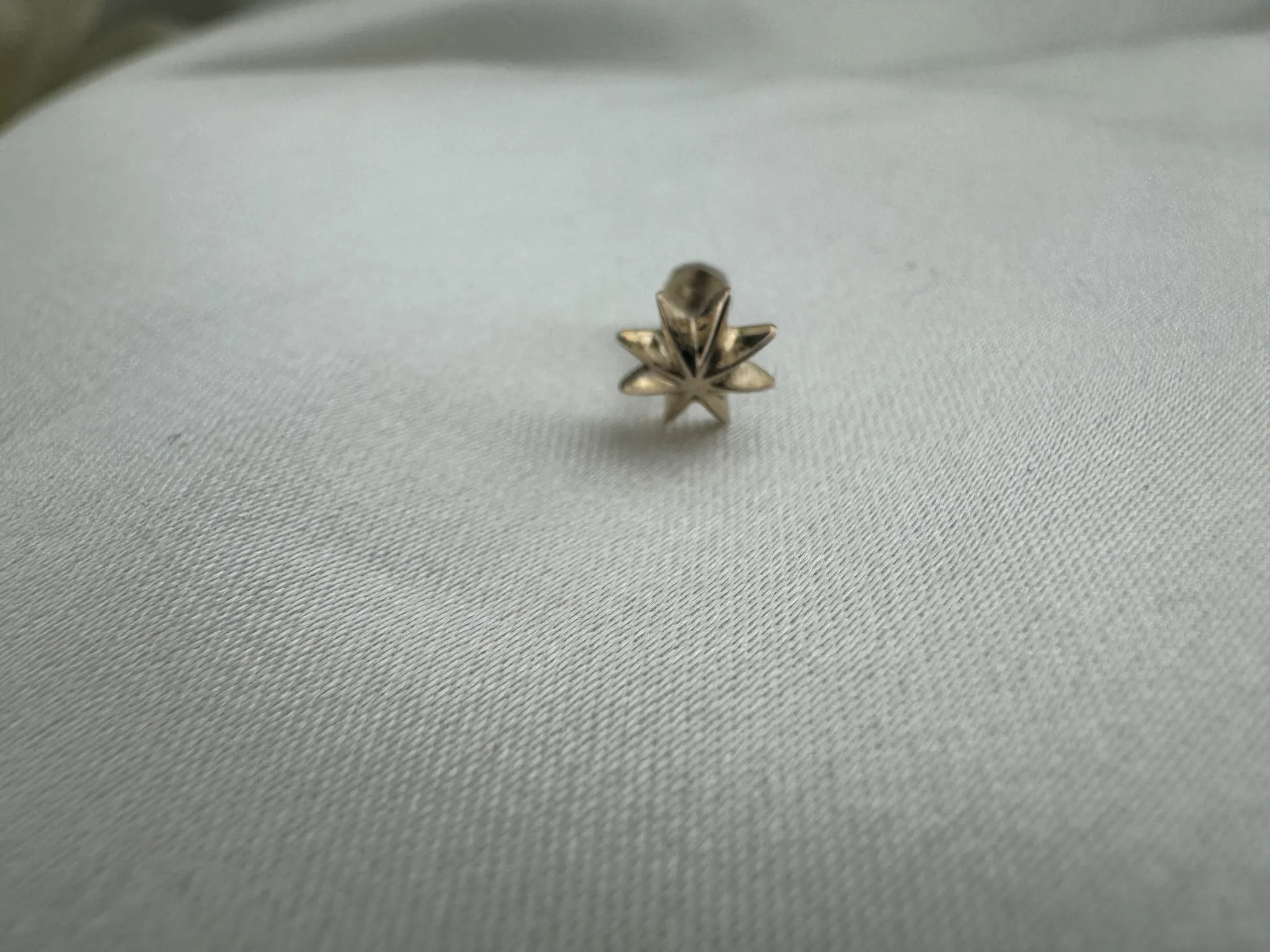 Taşsız Kutup Yıldızı Tragus
