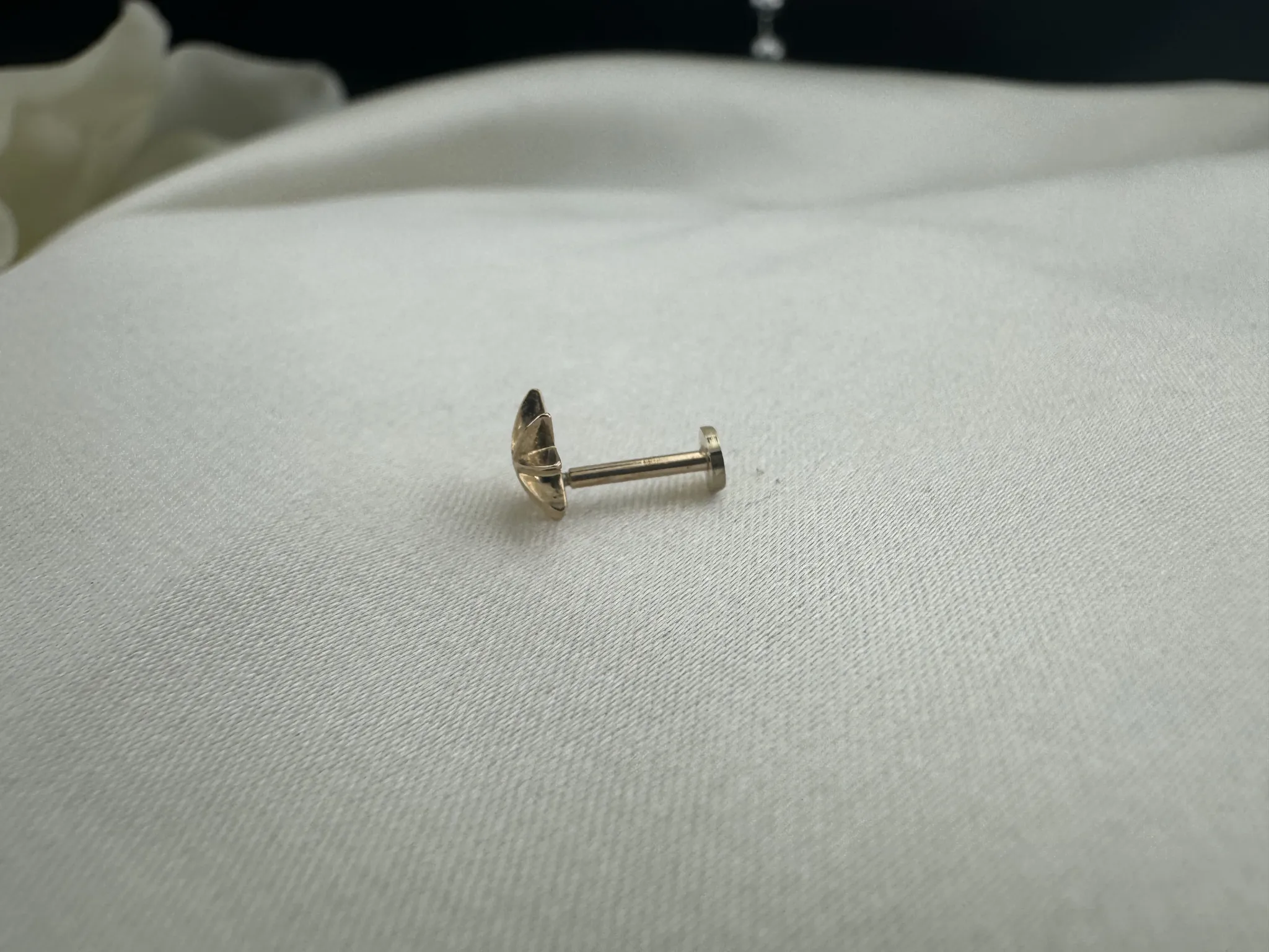 Taşsız Kutup Yıldızı Tragus