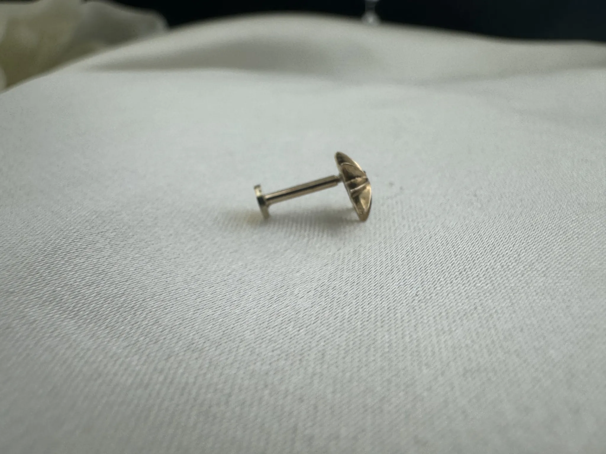 Taşsız Kutup Yıldızı Tragus