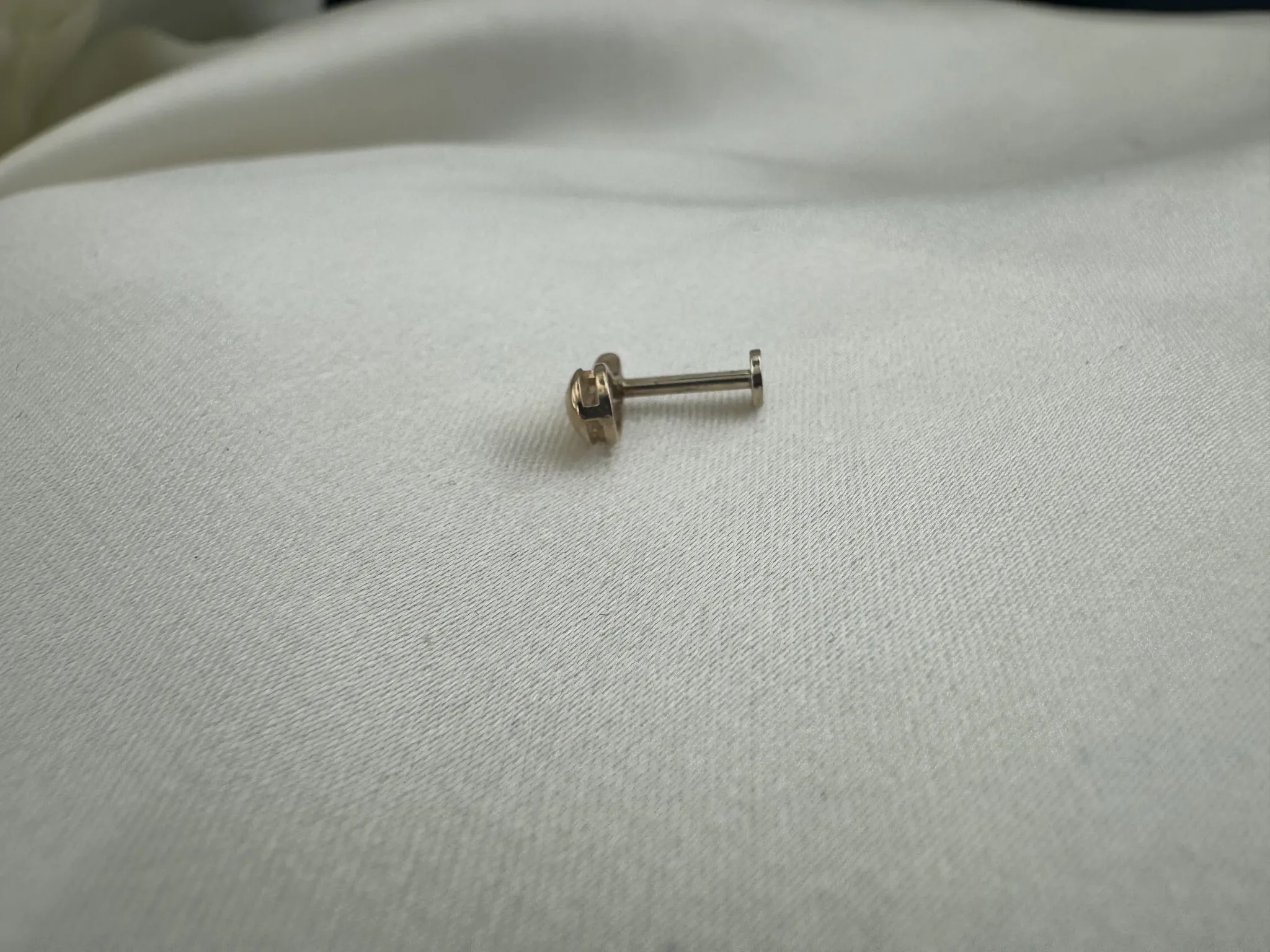Taşsız Bottega Tragus