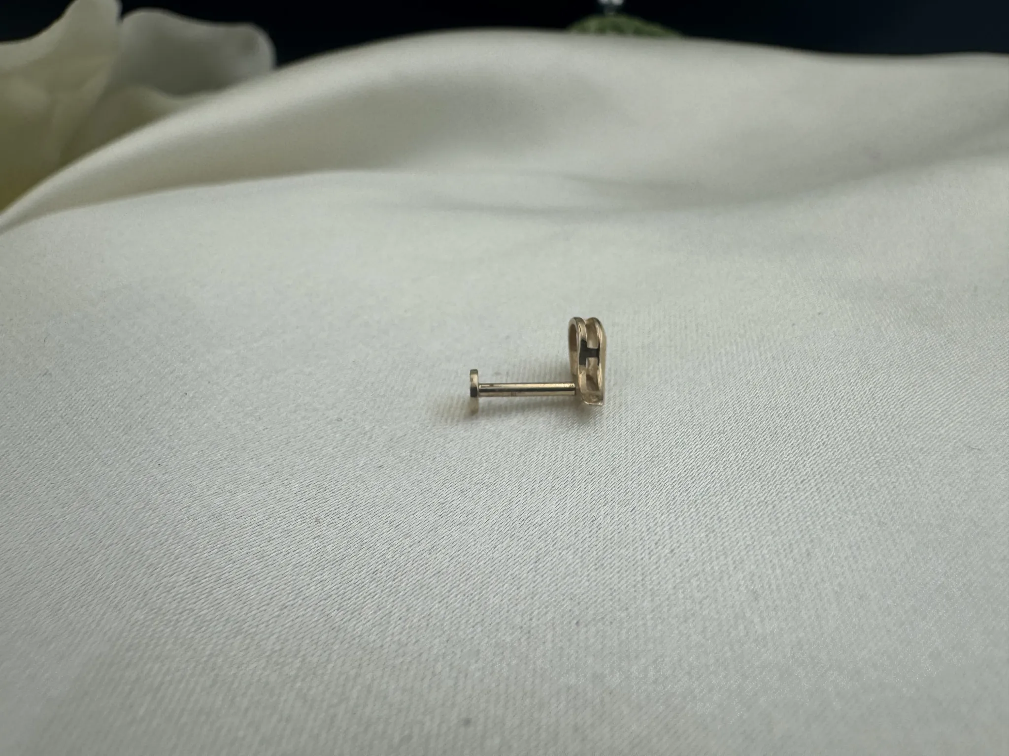 Taşsız Bottega Tragus