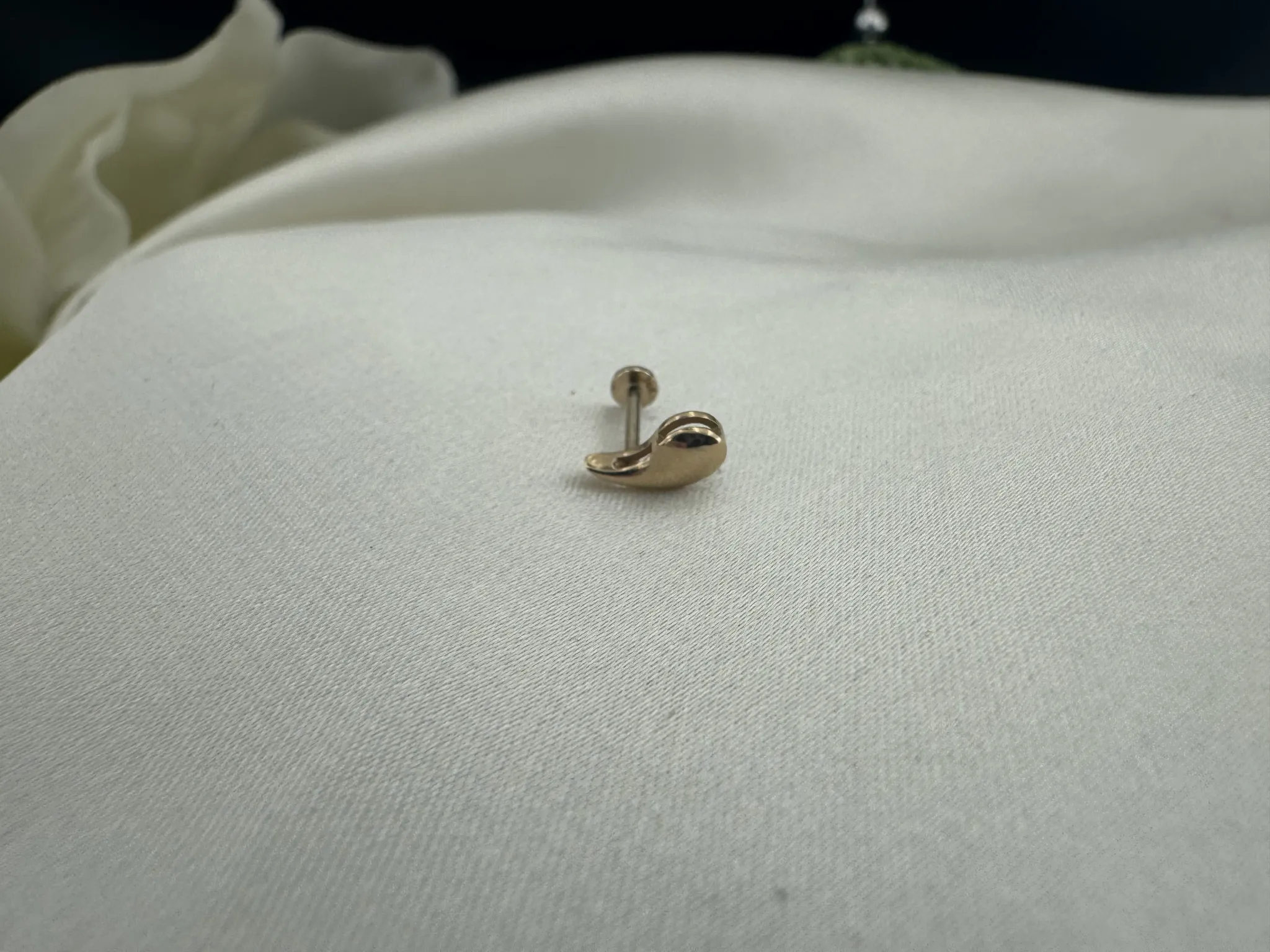 Taşsız Bottega Tragus