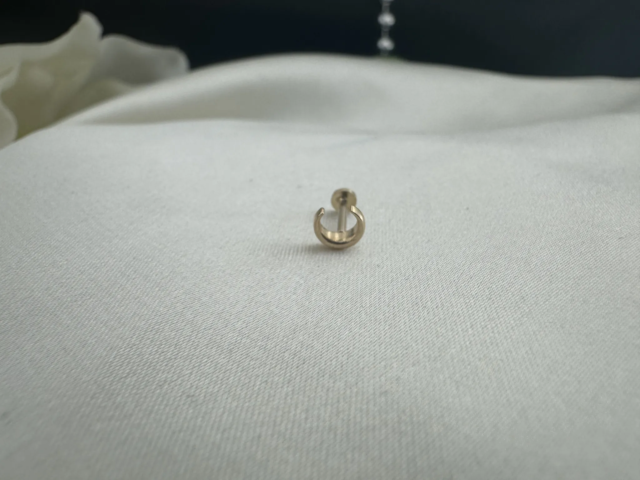 Taşsız Hilal Tragus