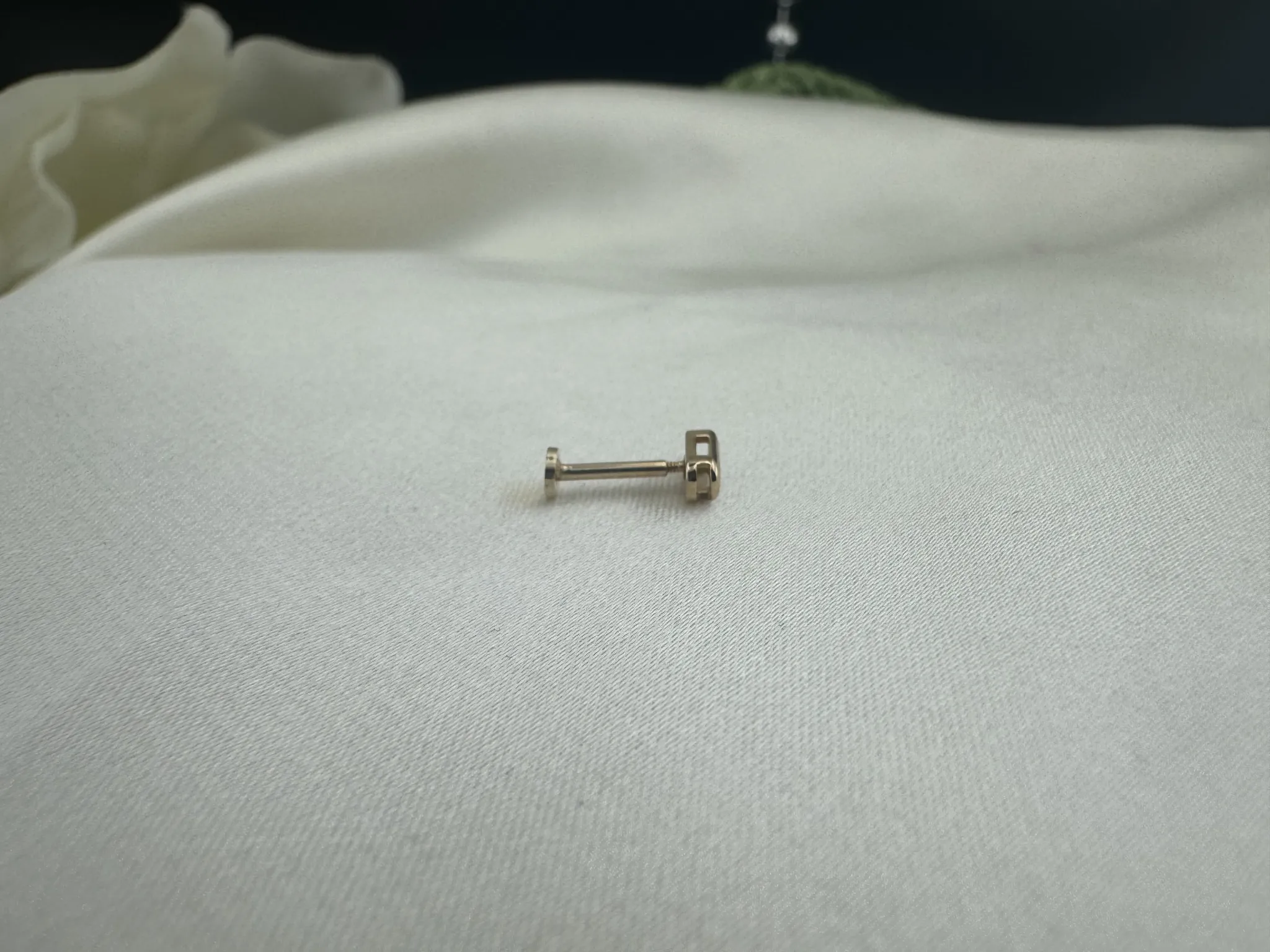 Taşsız Sade Tragus
