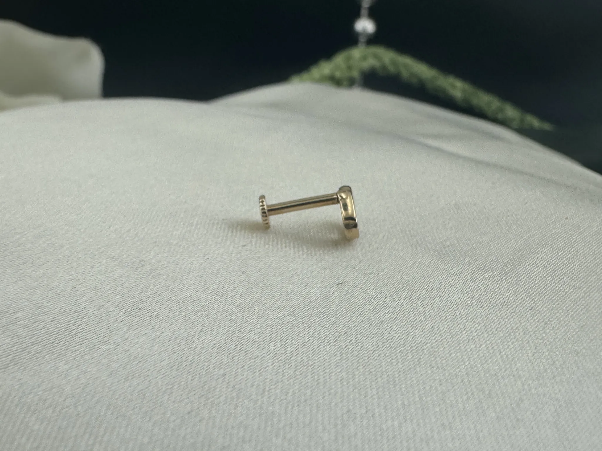 Taşsız yengeç burcu Tragus