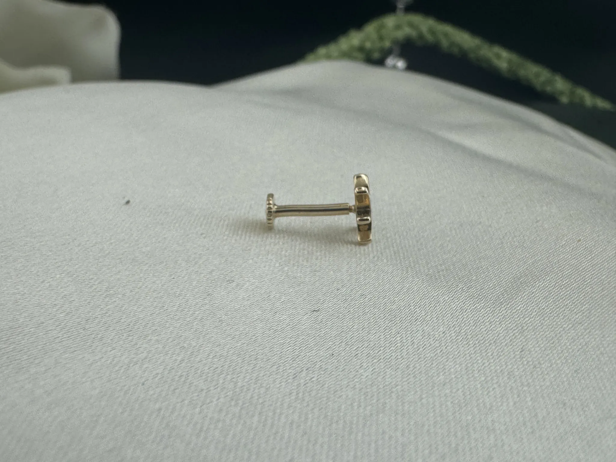 Taşsız Balık Burcu Tragus