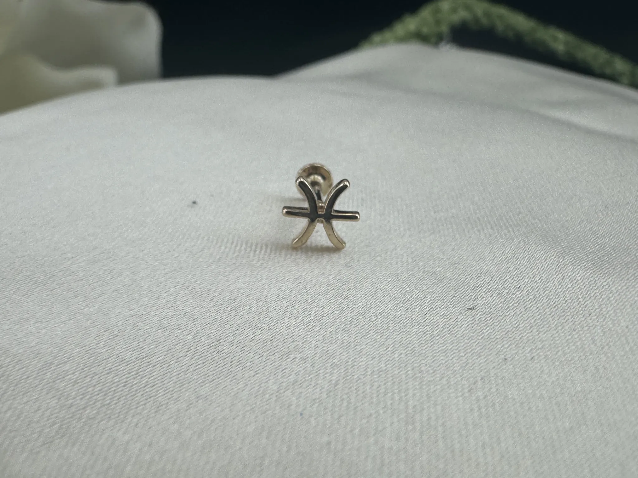 Taşsız Balık Burcu Tragus