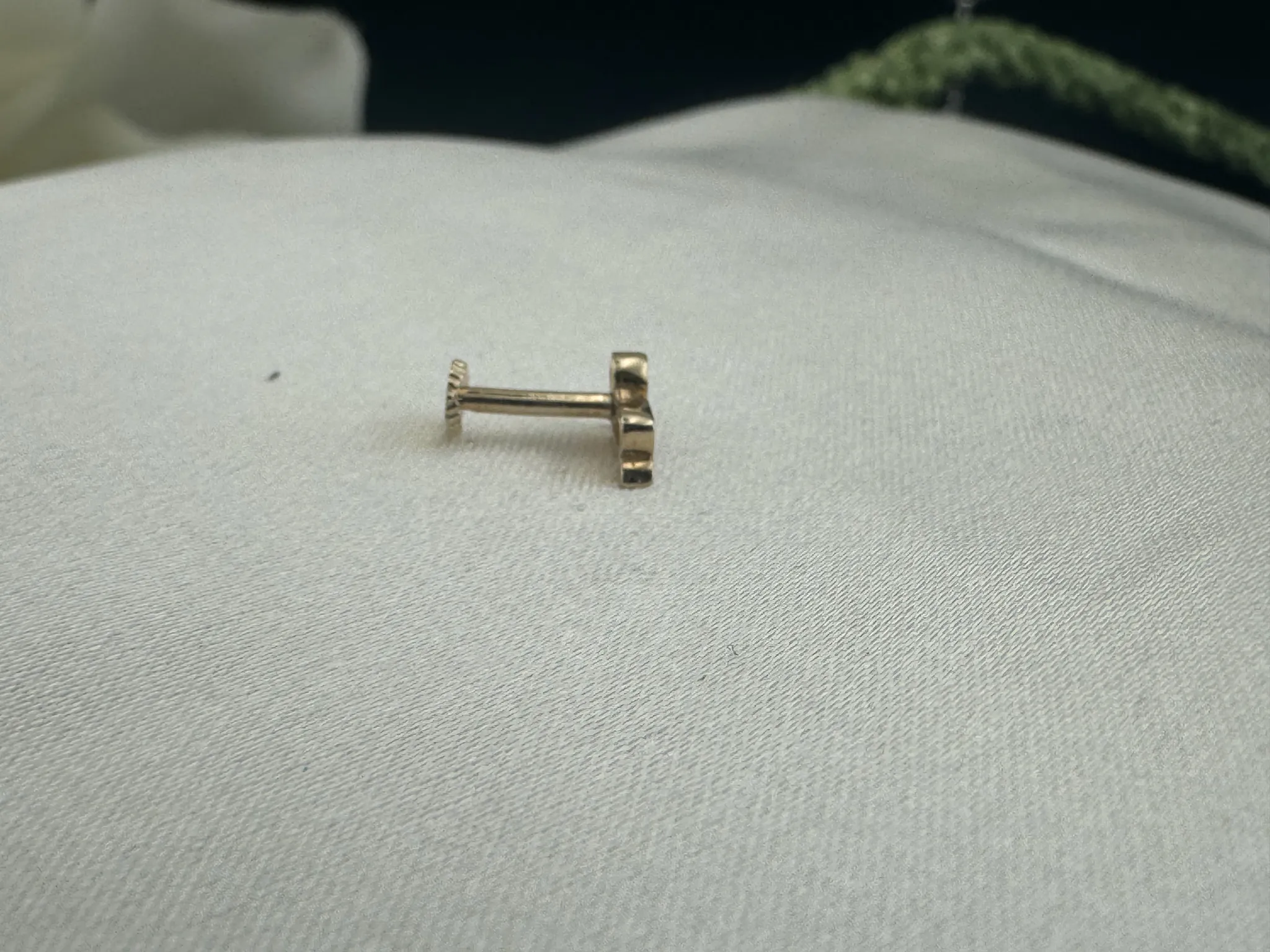 Taşsız oğlak Burcu Tragus