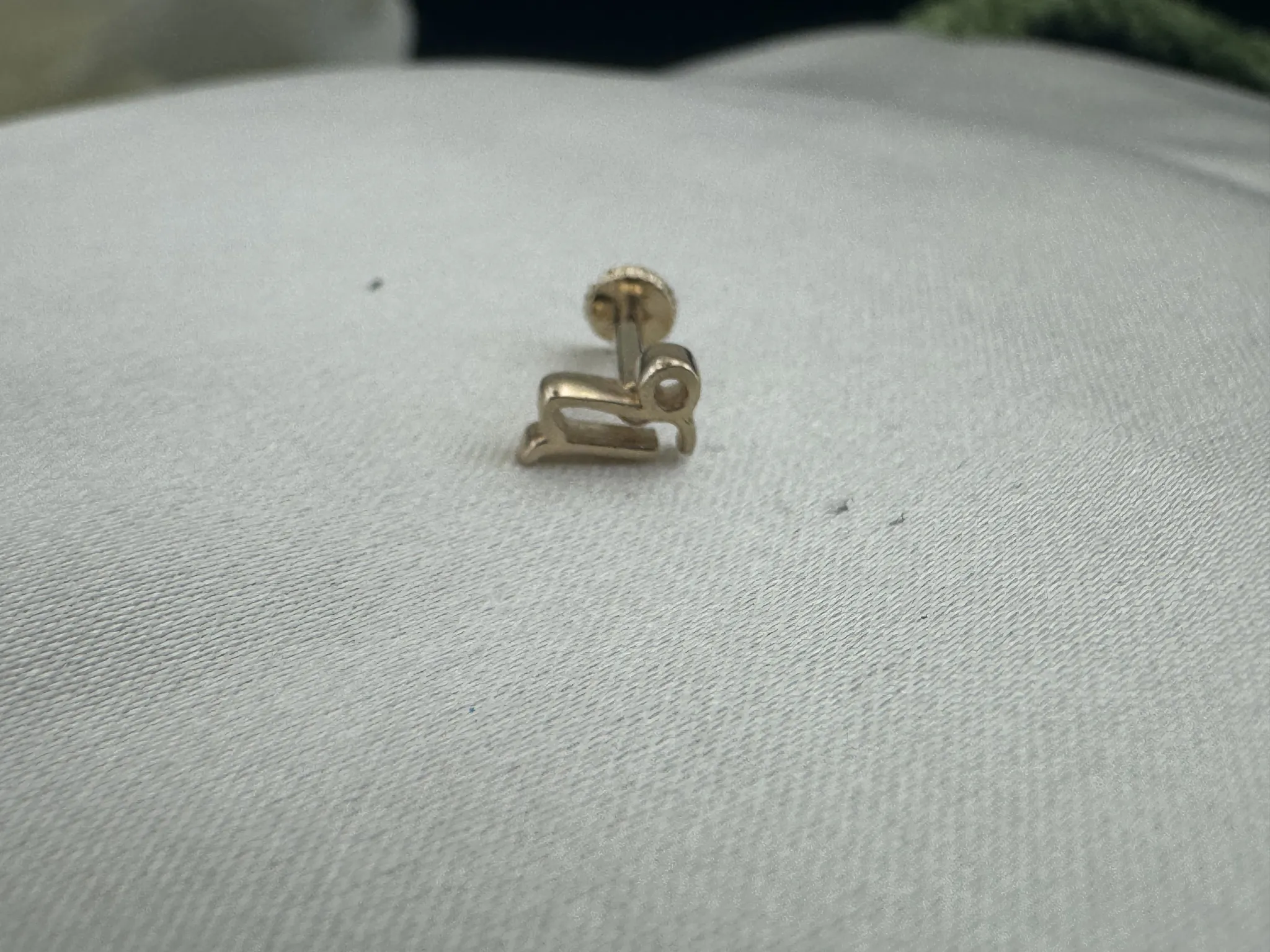 Taşsız oğlak Burcu Tragus