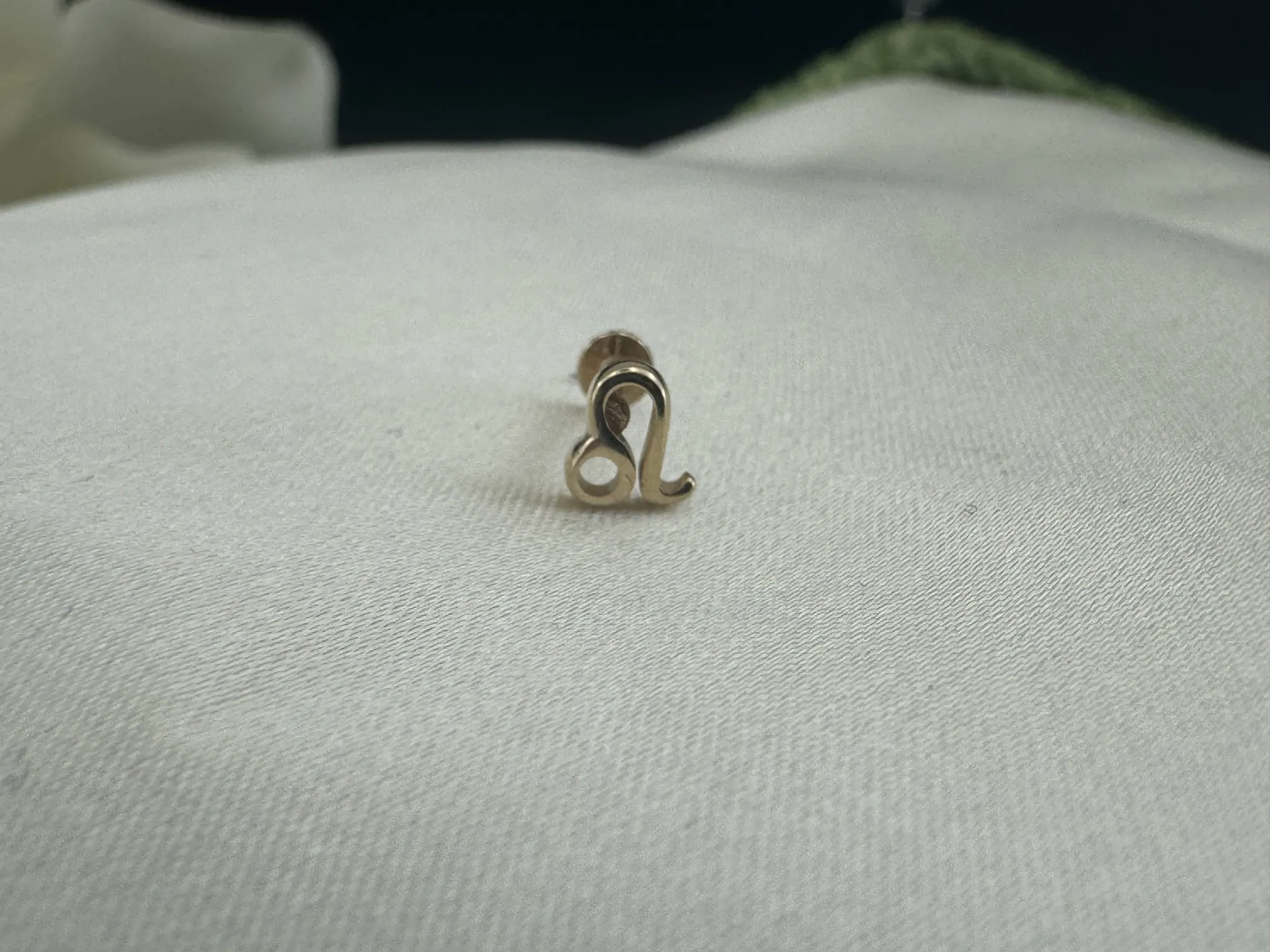 Aslan Burcu Tragus