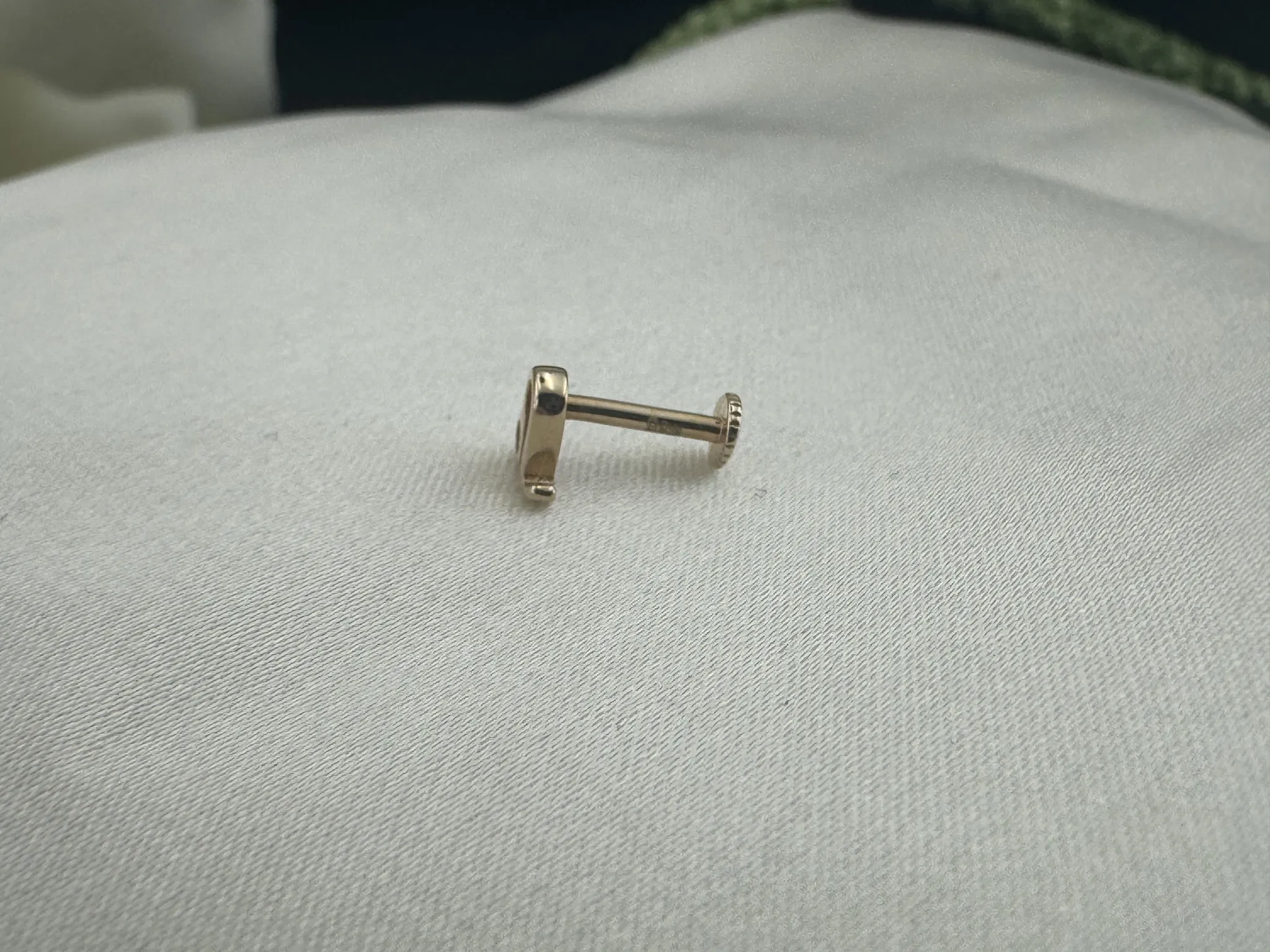 Aslan Burcu Tragus
