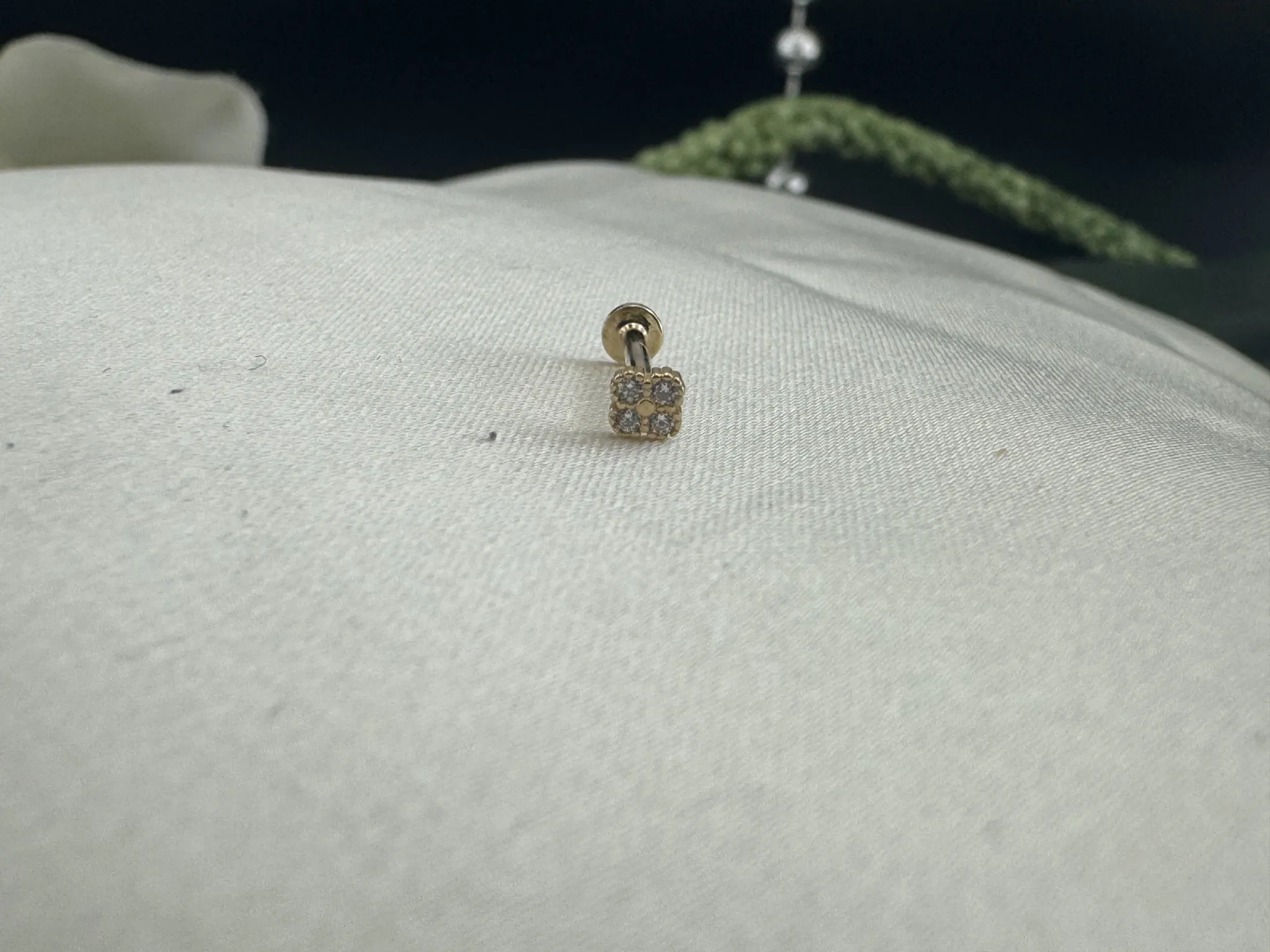 Taşlı Yonca Tragus
