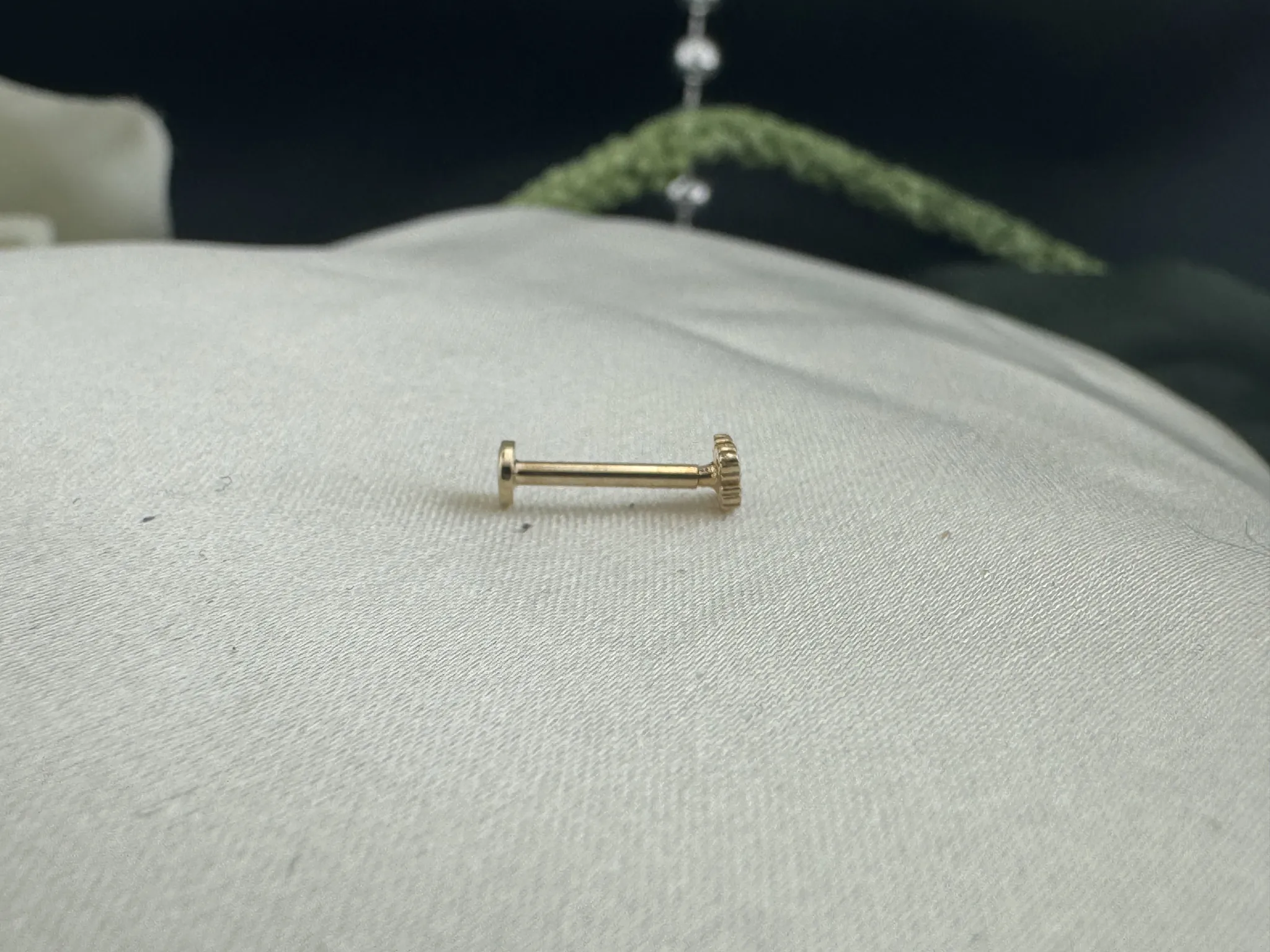 Taşlı Yonca Tragus